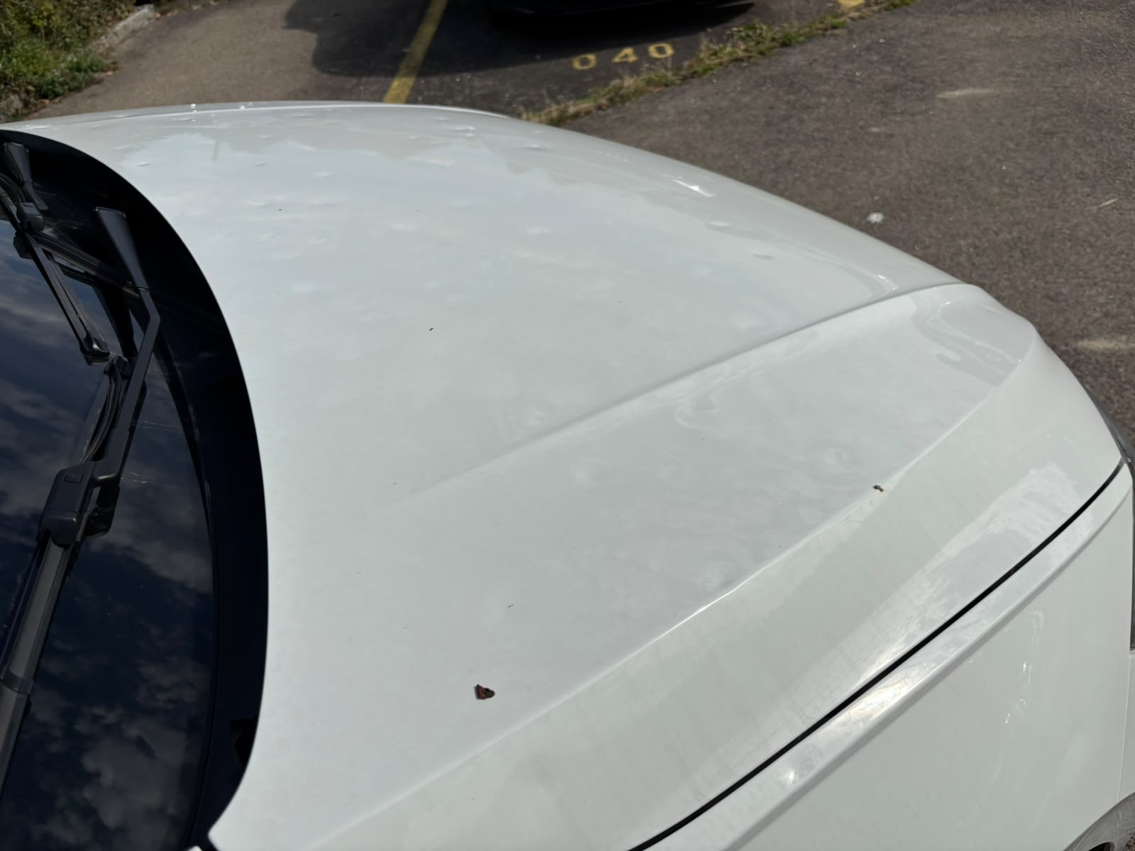 VW Polo 1.0 TSI Life DSG-image-12