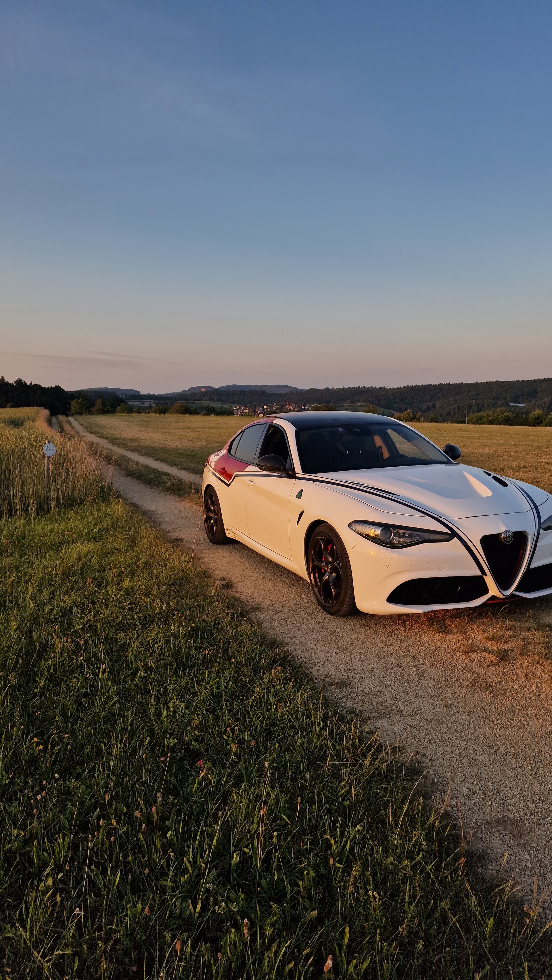 ALFA ROMEO 2.0 Q4 Veloce