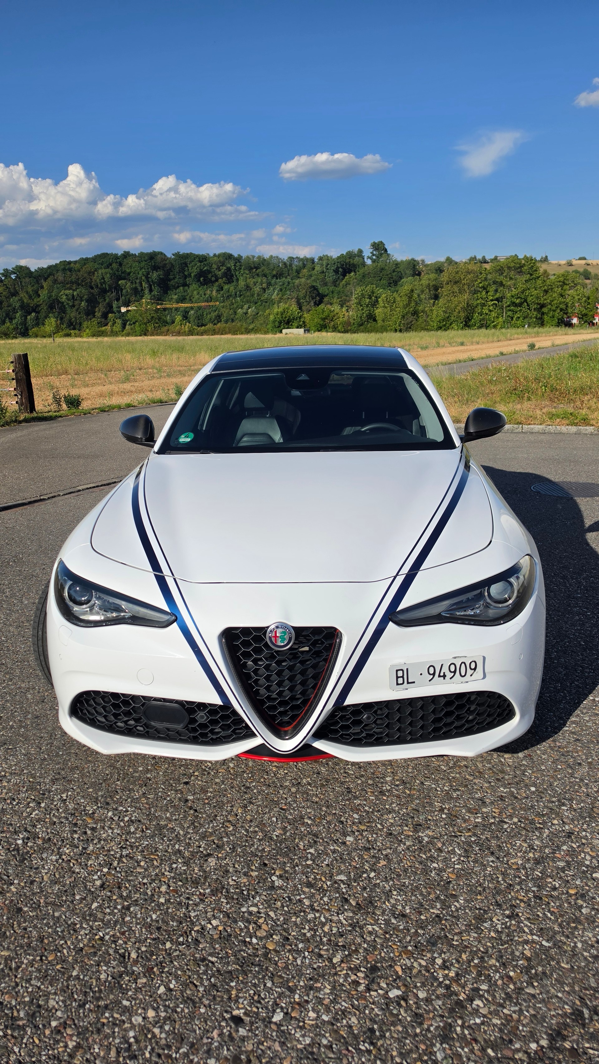 ALFA ROMEO 2.0 Q4 Veloce-image-4