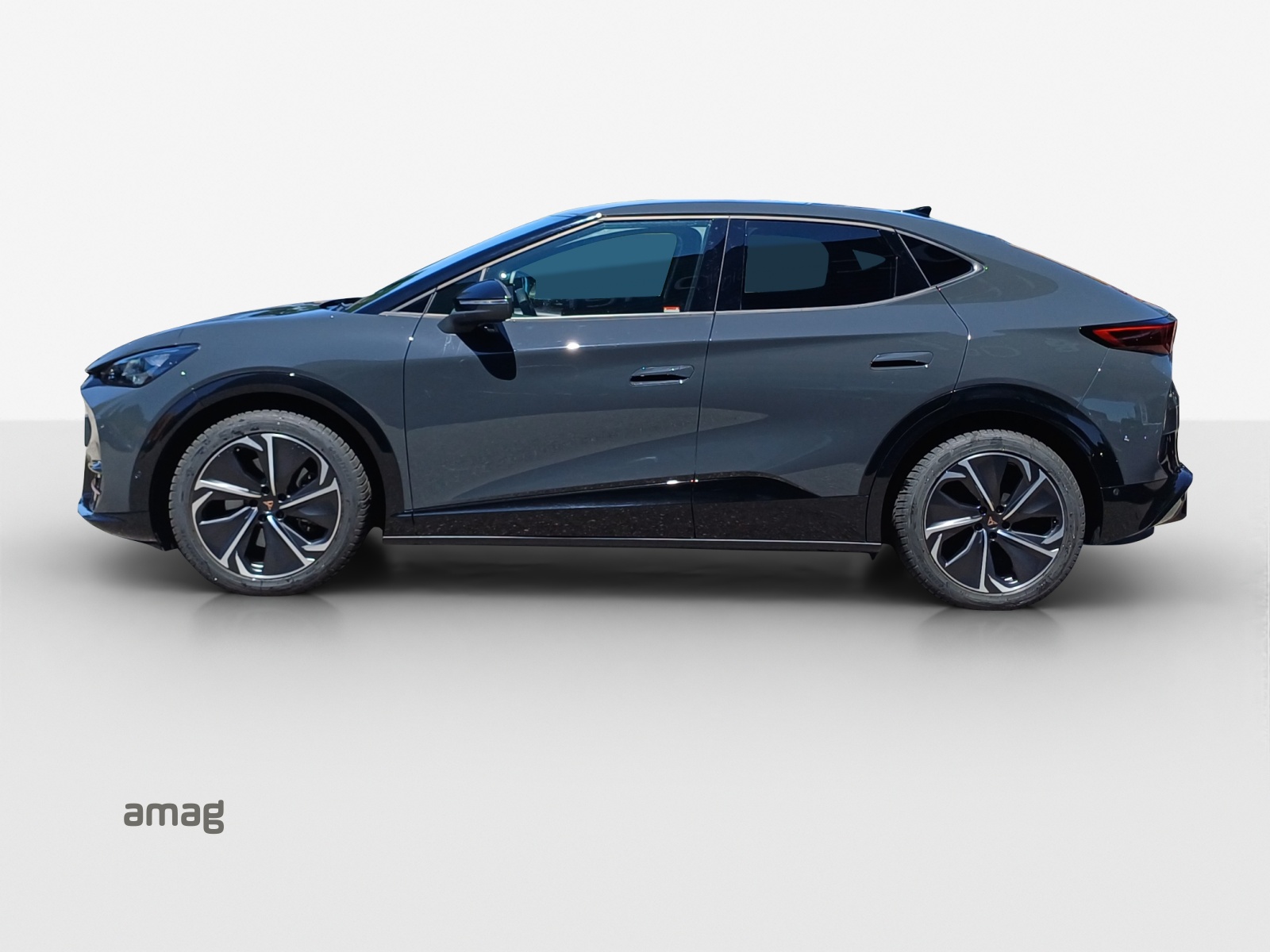 CUPRA Tavascan Type 8 77 kWh VZ-image-1