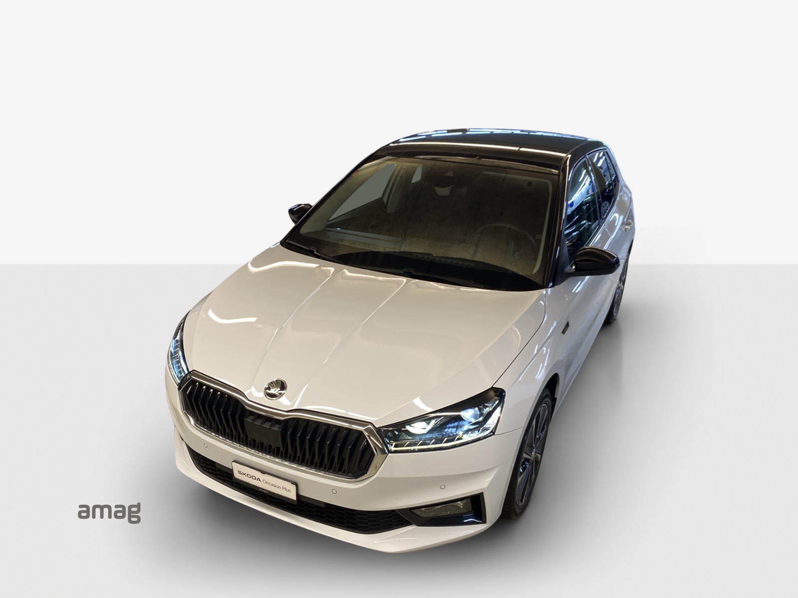 SKODA Fabia 1.0 TSI First Edition DSG-image-15