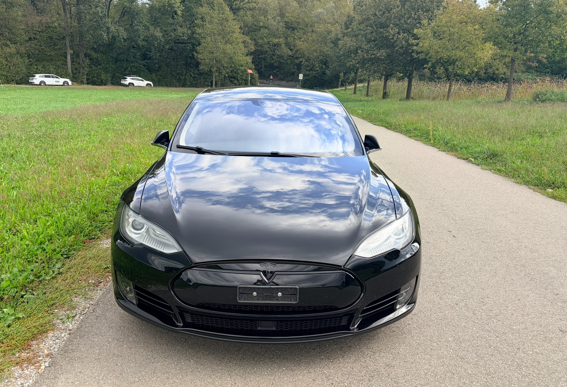TESLA Model S 85 D-image-5