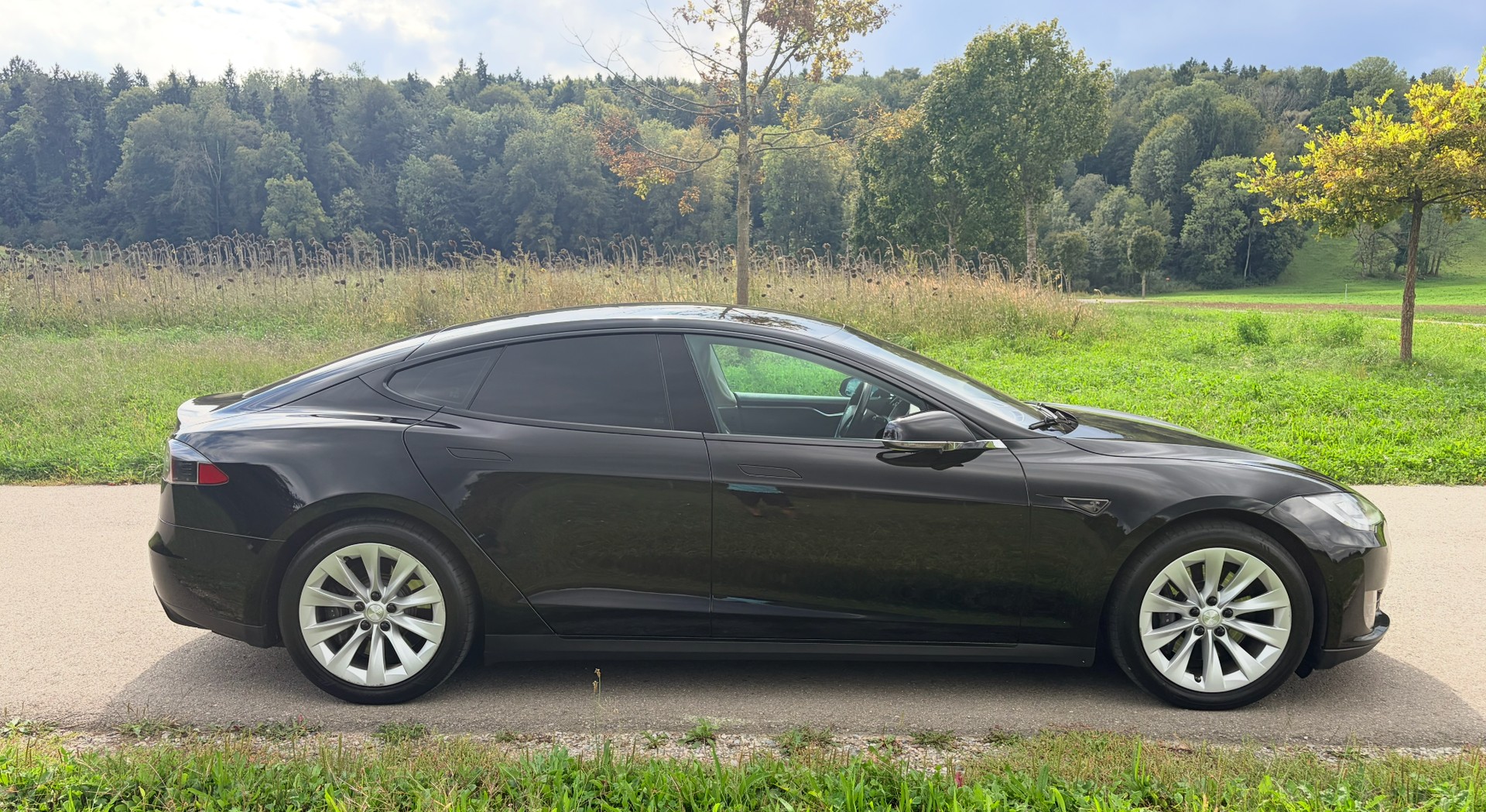 TESLA Model S 85 D-image-4