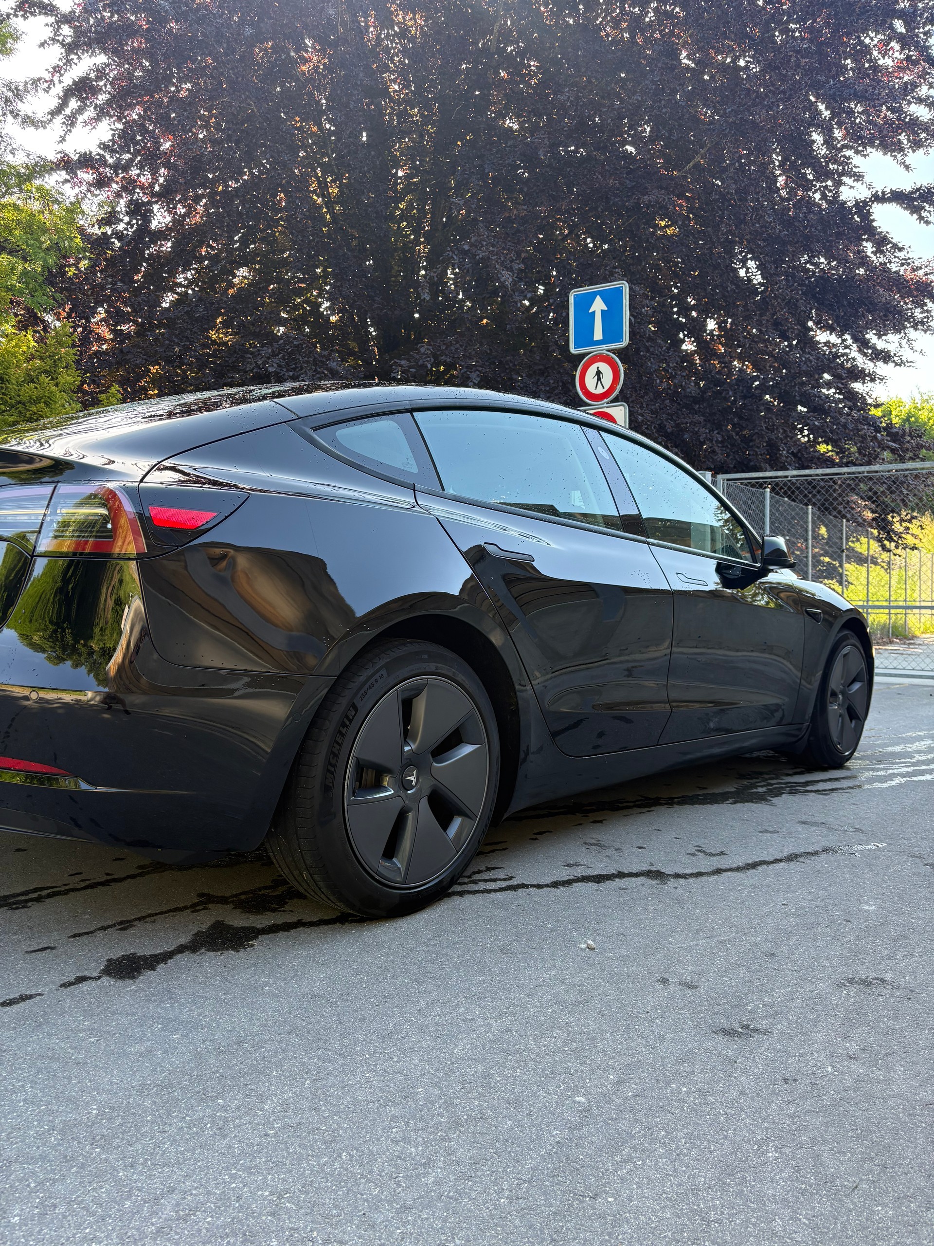 TESLA Model 3-image-5