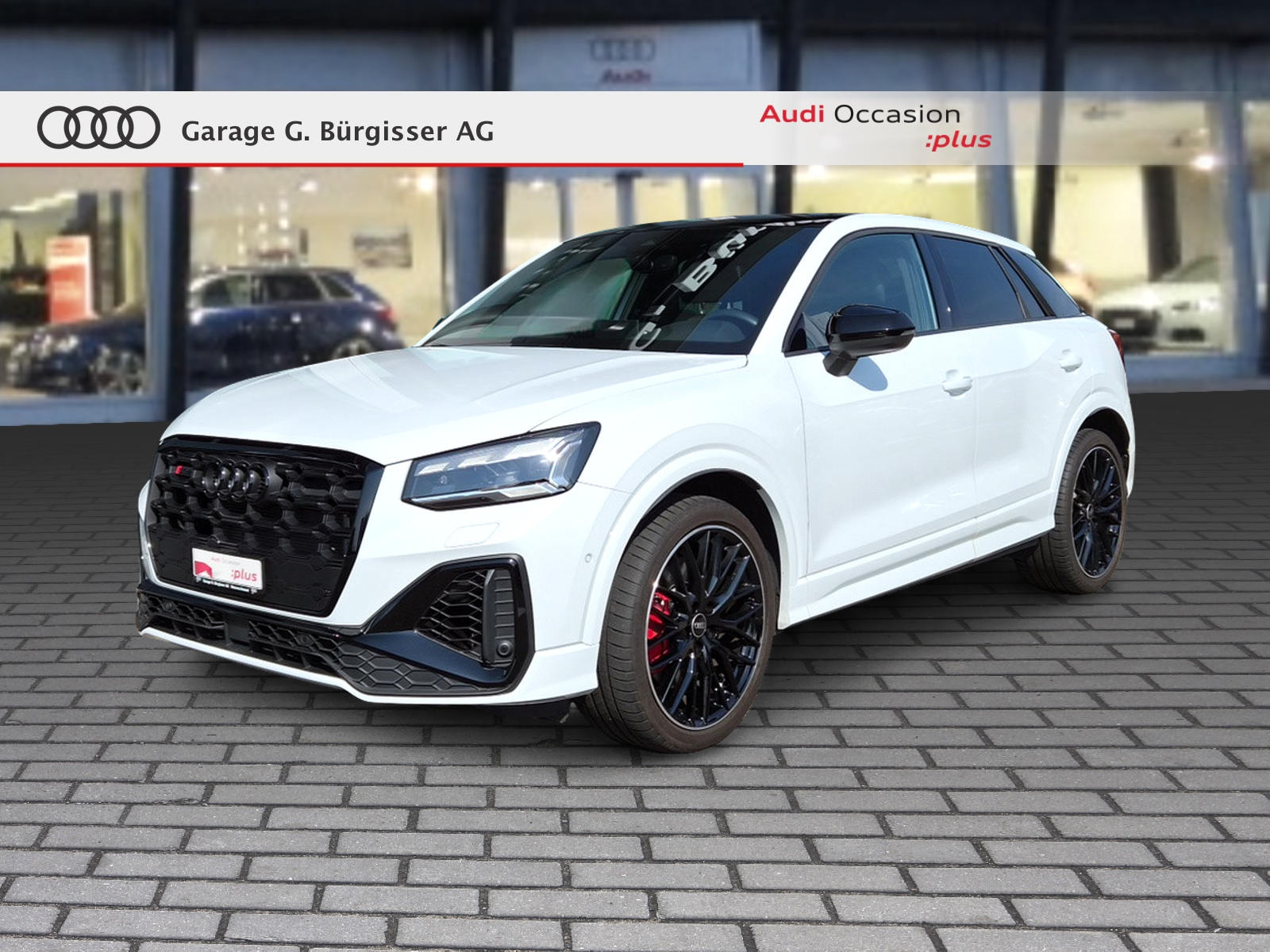 AUDI SQ2 TFSI quattro S-tronic Gletscherweiss Metallic-image-0