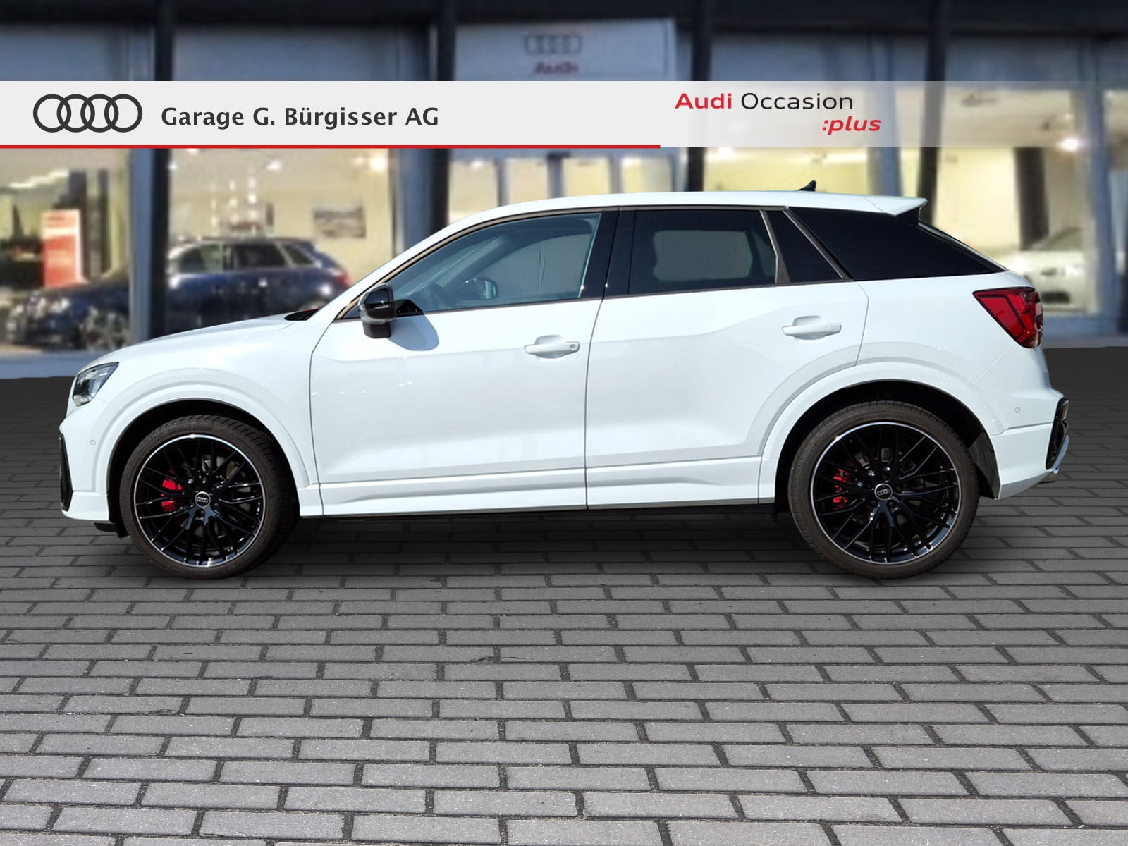 AUDI SQ2 TFSI quattro S-tronic Gletscherweiss Metallic-image-2