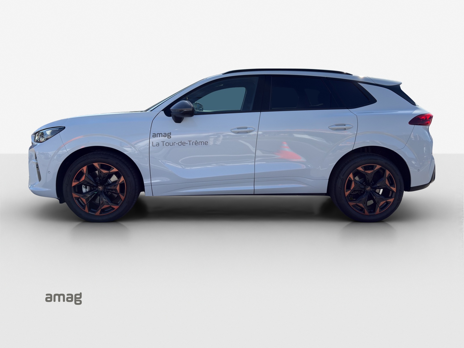 CUPRA Terramar 2.0 TSI DSG 4Drive-image-1