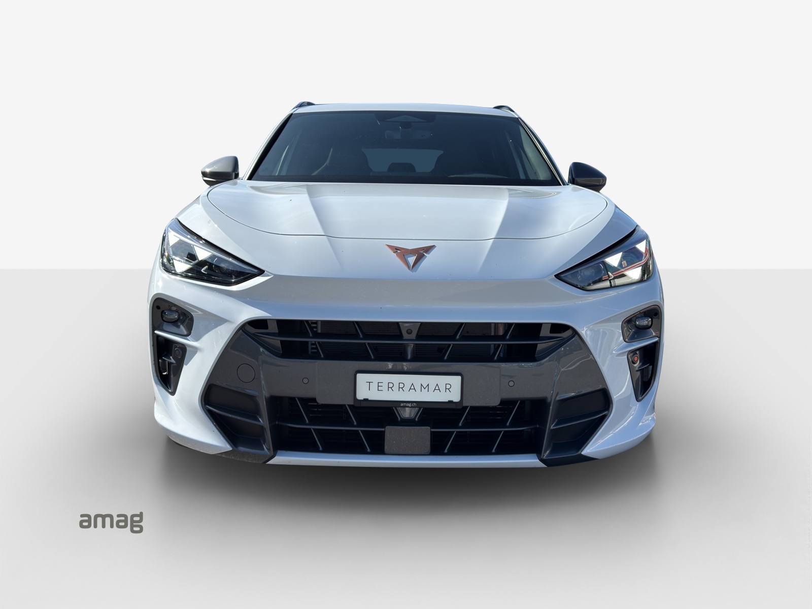 CUPRA Terramar 2.0 TSI DSG 4Drive-image-6