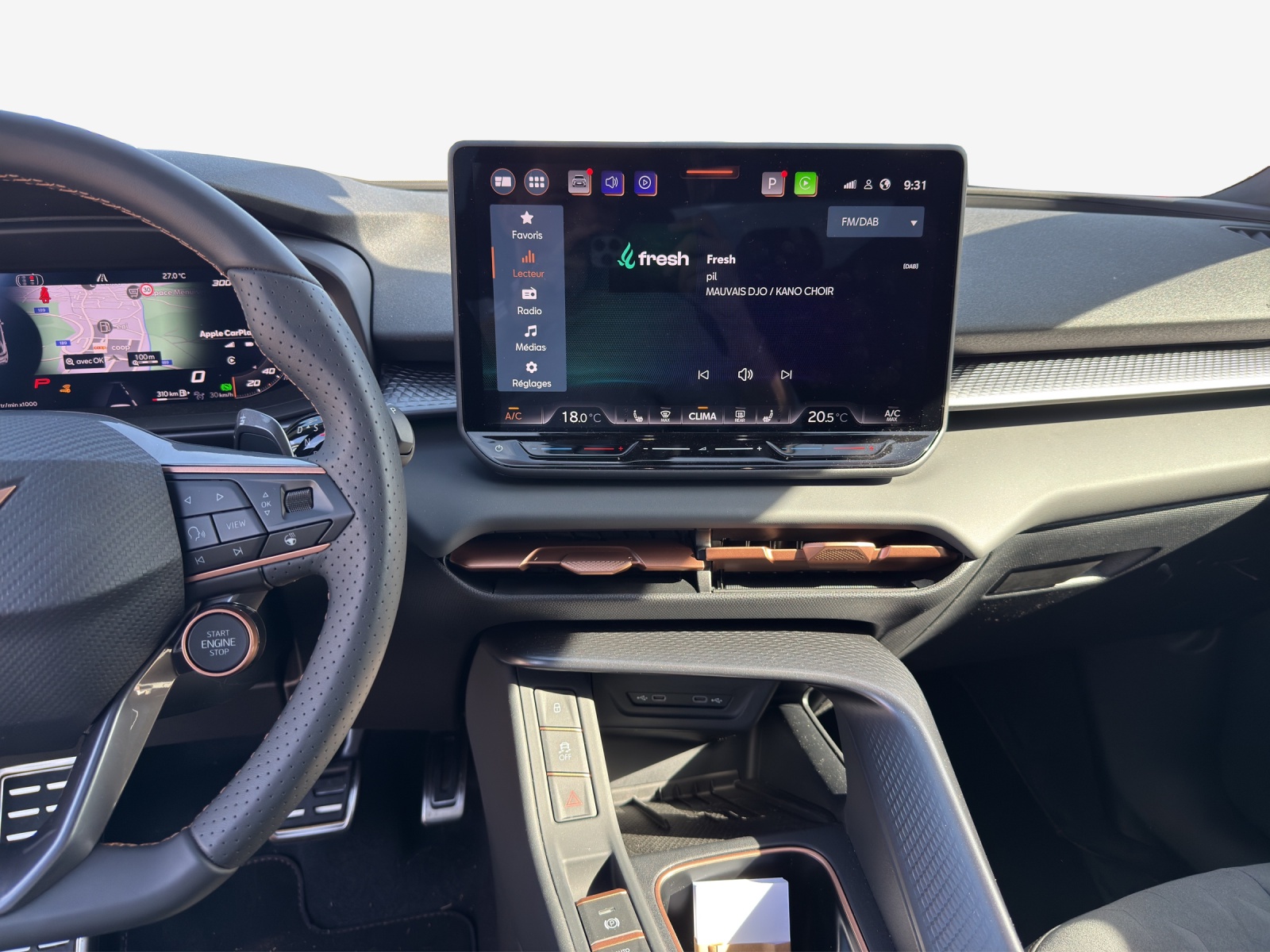 CUPRA Terramar 2.0 TSI DSG 4Drive-image-10