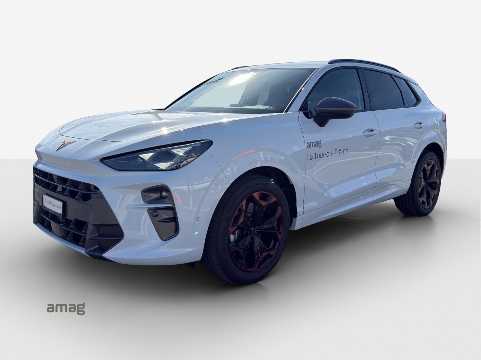 CUPRA Terramar 2.0 TSI DSG 4Drive-image-0
