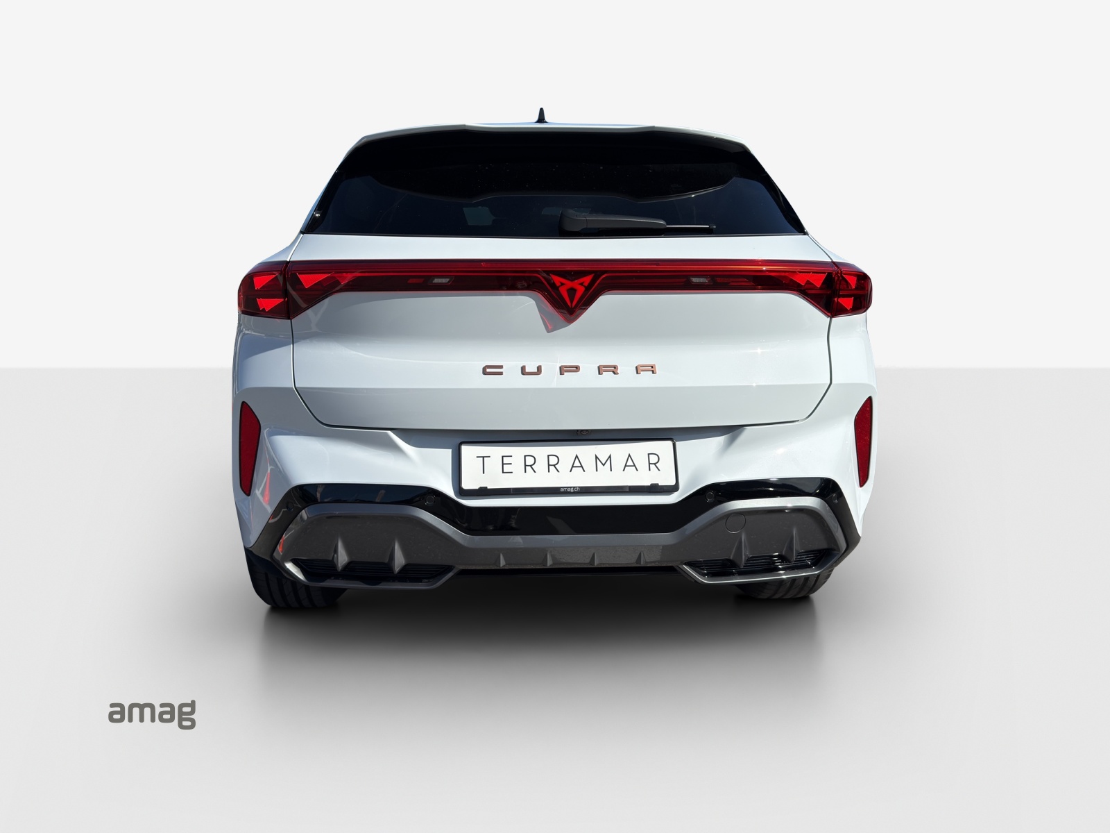 CUPRA Terramar 2.0 TSI DSG 4Drive-image-3