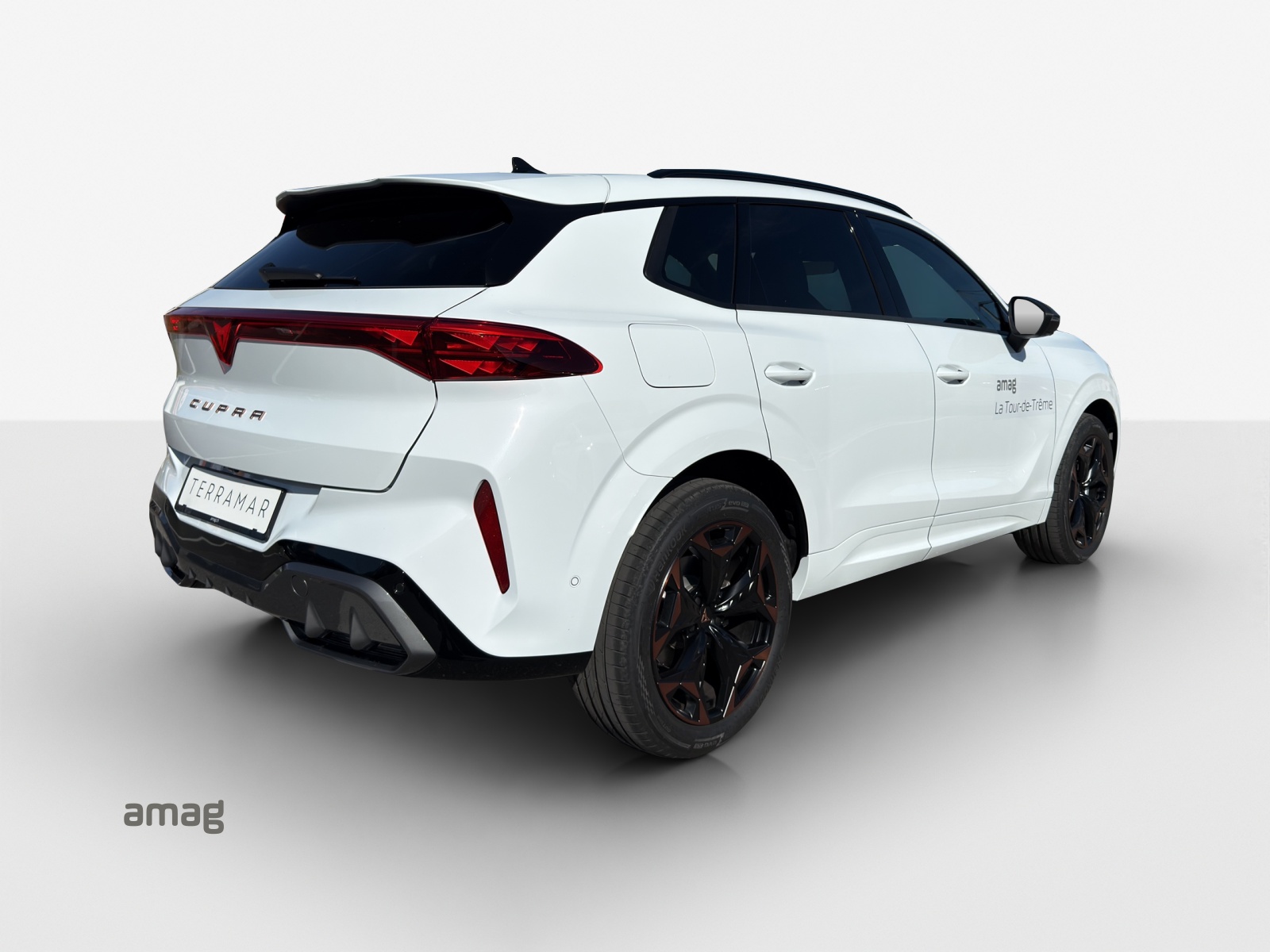 CUPRA Terramar 2.0 TSI DSG 4Drive-image-4