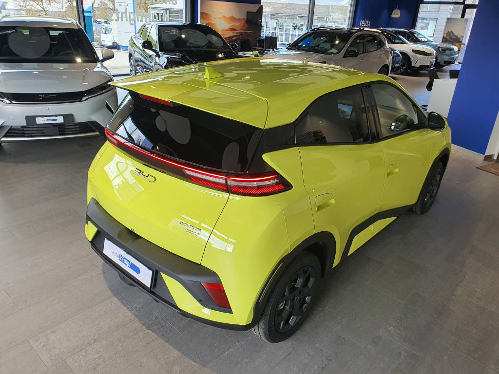 BYD Dolphin Surf Comfort-image-10