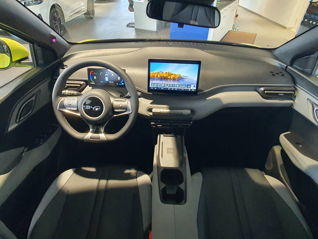 BYD Dolphin Surf Comfort-image-13