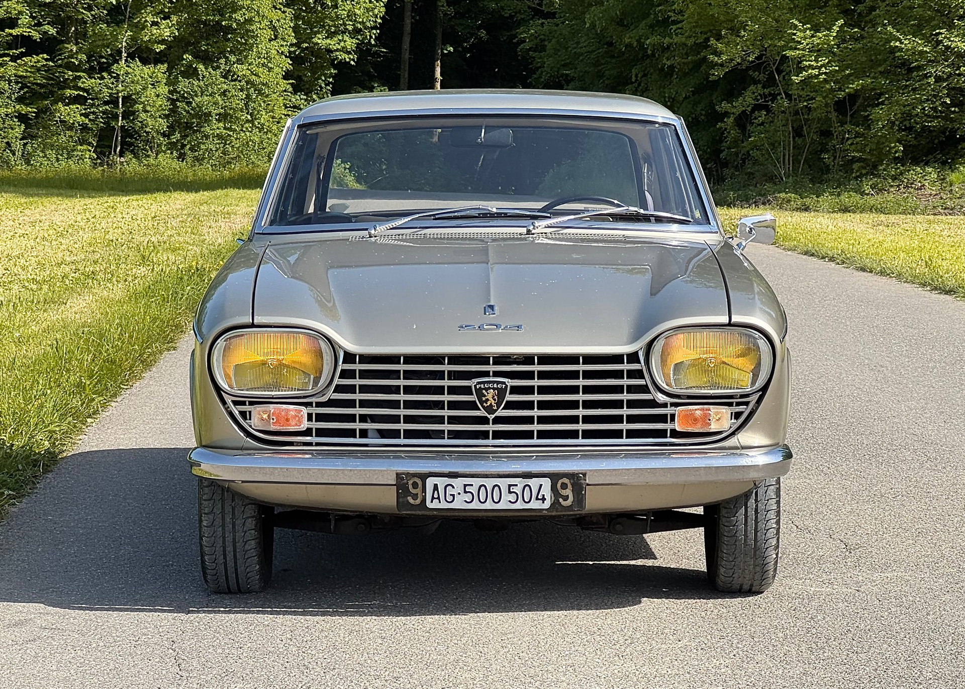 PEUGEOT 204-image-1