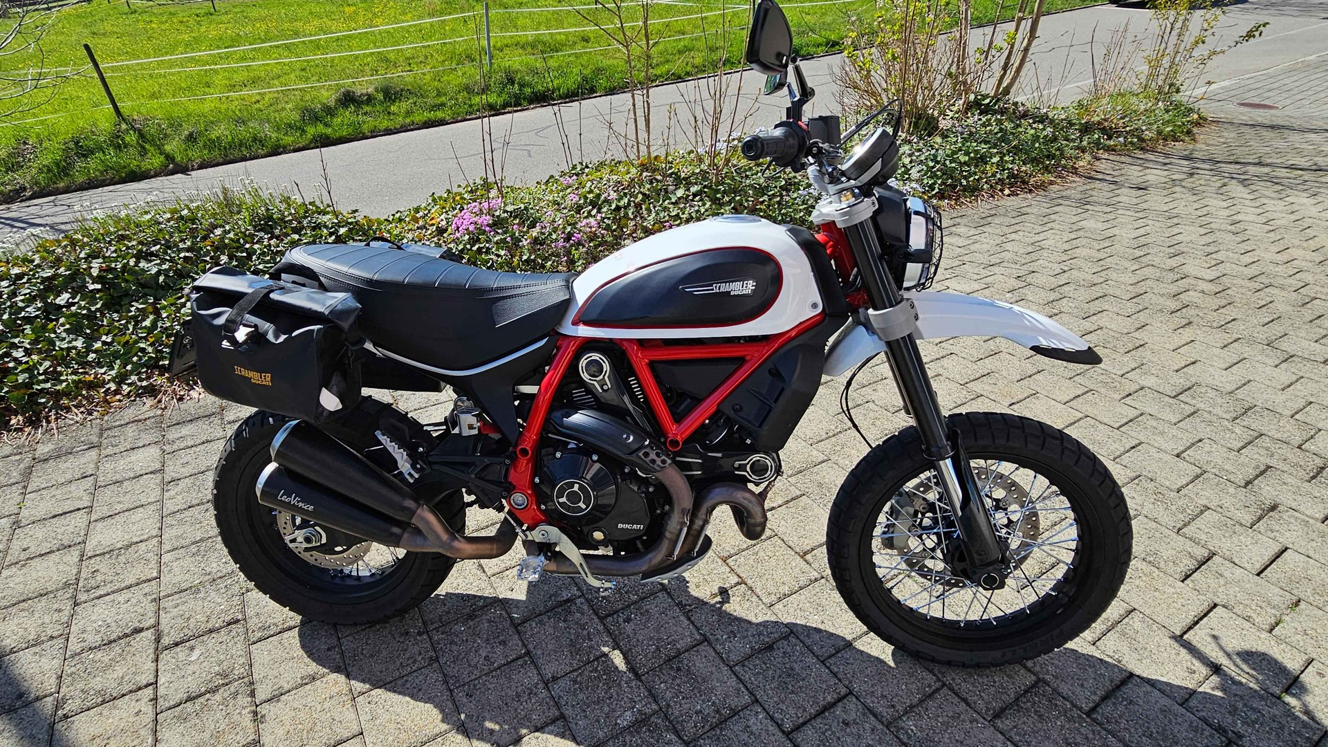 DUCATI Scrambler 800 Desert Sled