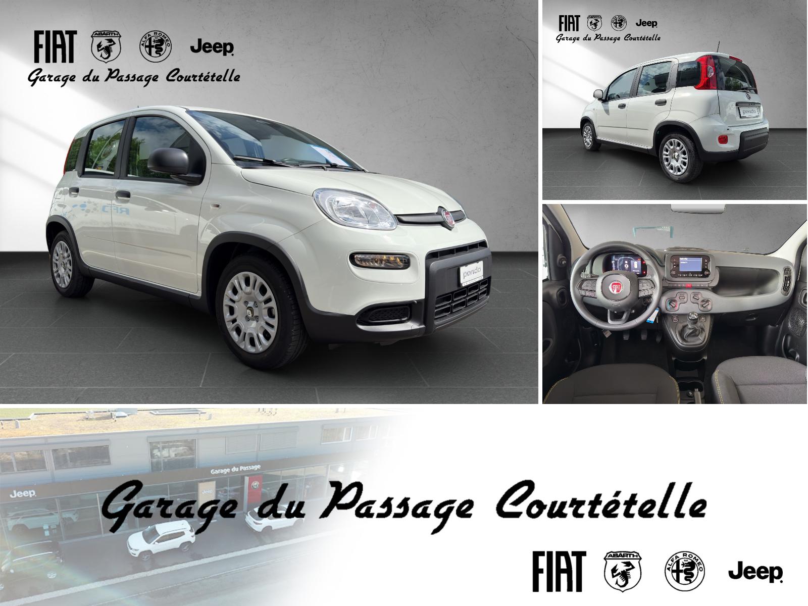 FIAT PANDINA-image-0