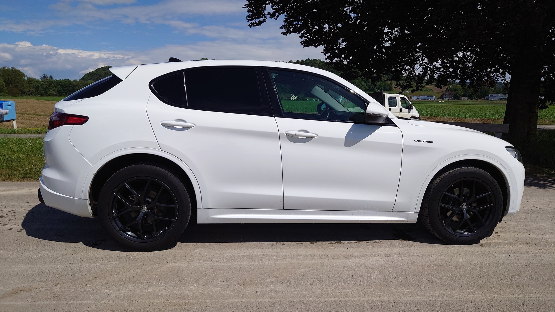 ALFA ROMEO Stelvio 2.2JTDM Veloce Q4Automatic-image-6