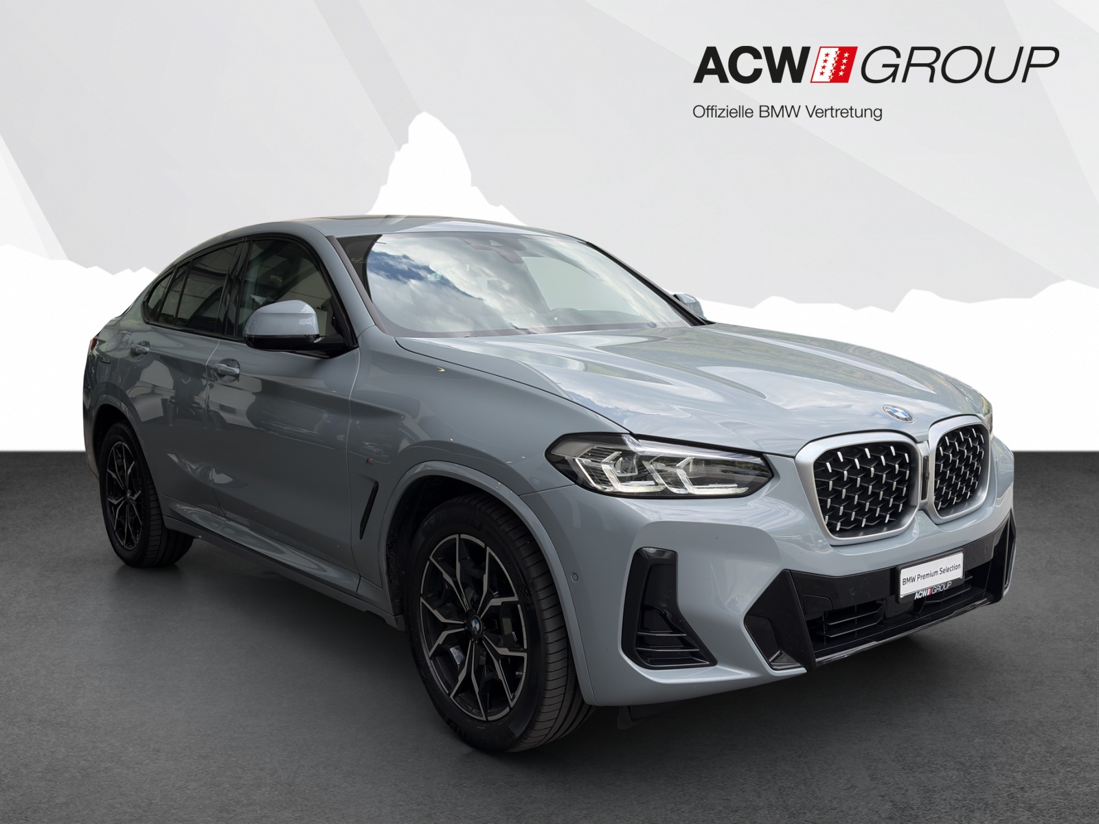 BMW X4 30d xDrive-image-6