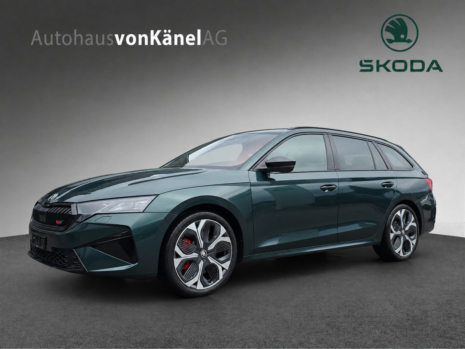 SKODA Octavia Combi 2.0 TSI DSG RS 30 Years Edition-image-0