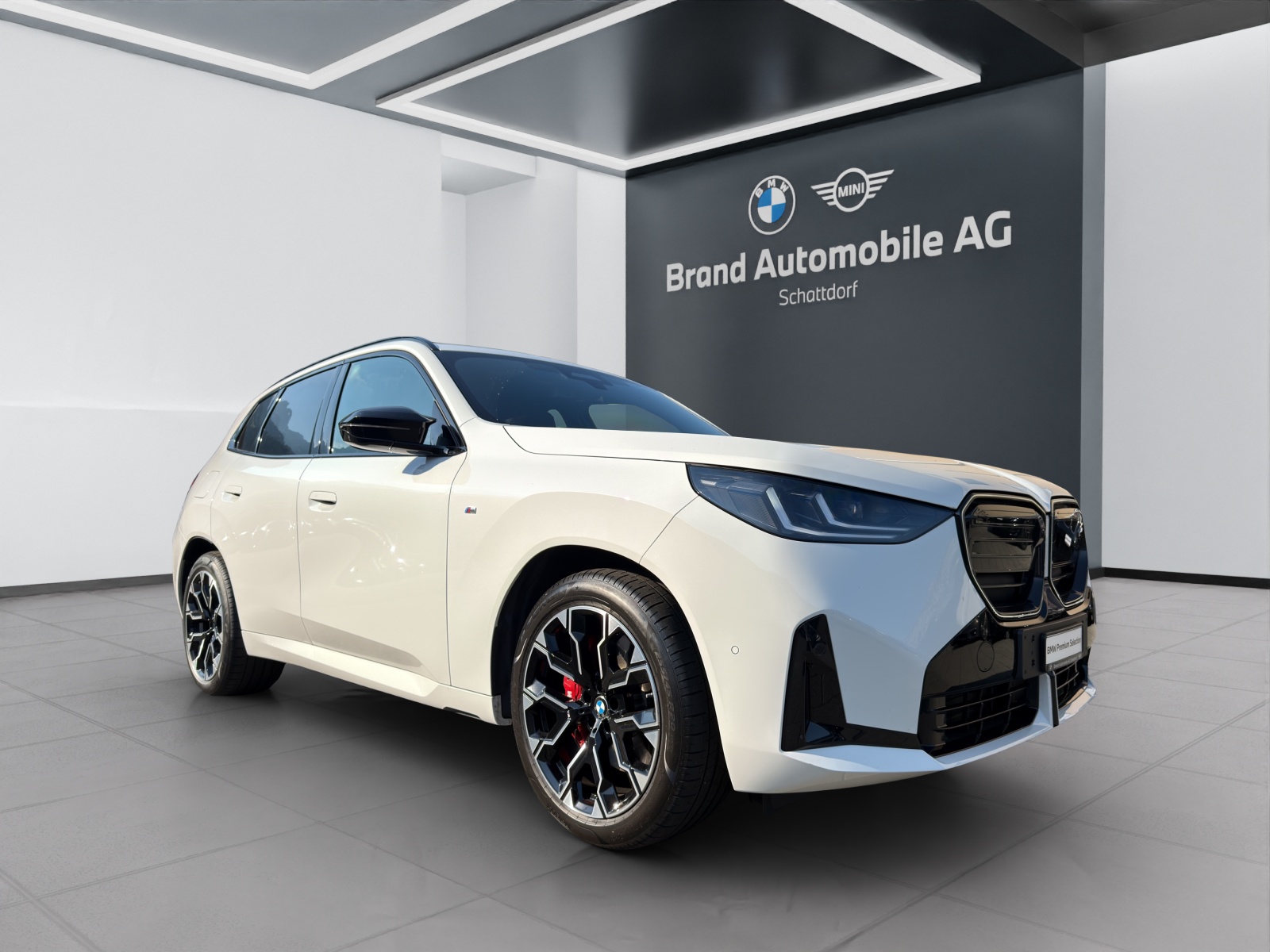 BMW X3 M50i-image-6