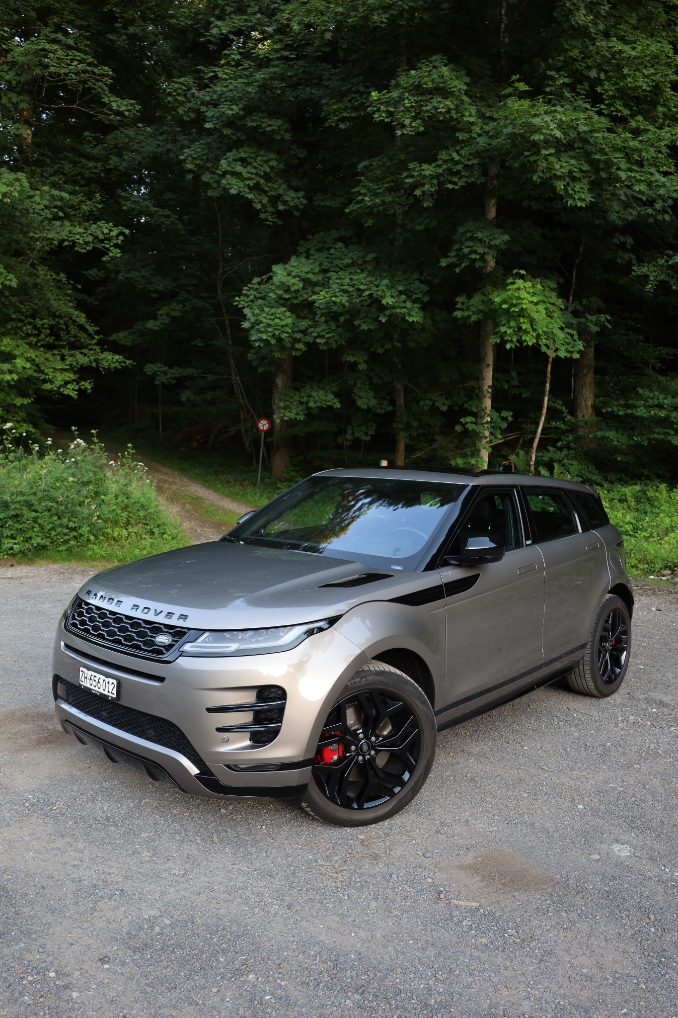 LAND ROVER 1.5 T 300e R-Dynamic Autobiography-image-0