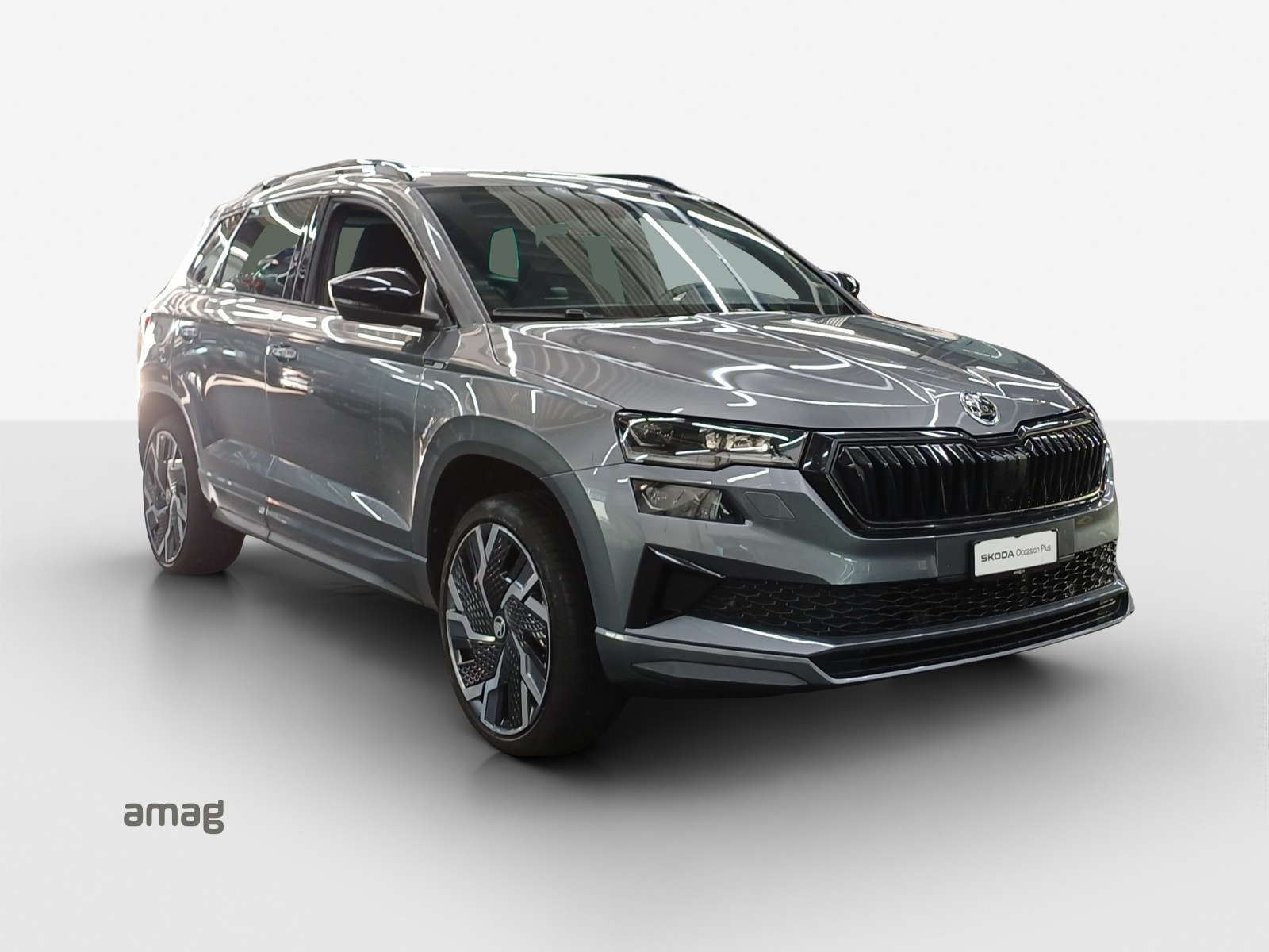 SKODA Karoq 1.5 TSI SportLine DSG-image-5