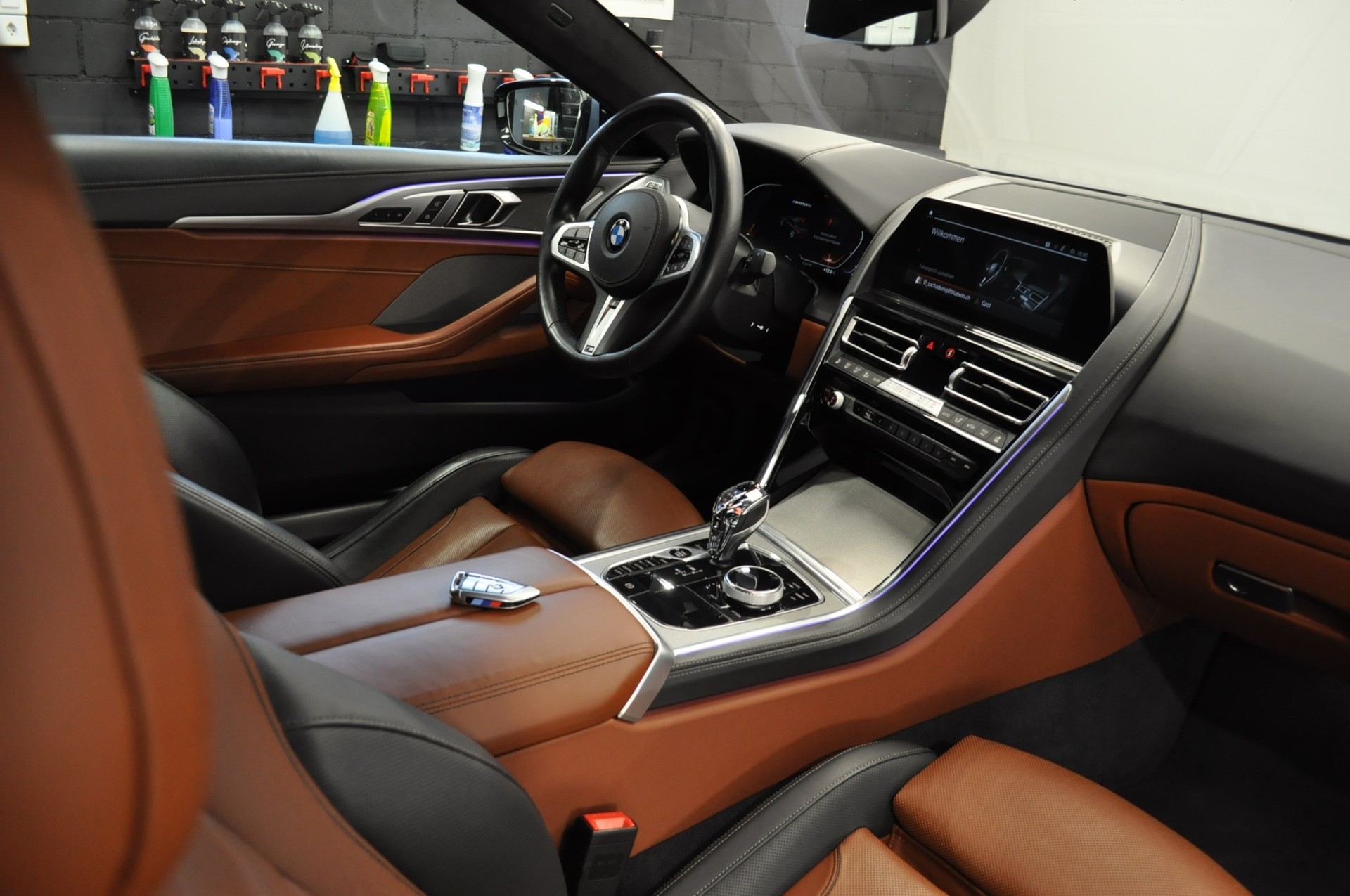 BMW M850i xDrive Steptronic-image-3