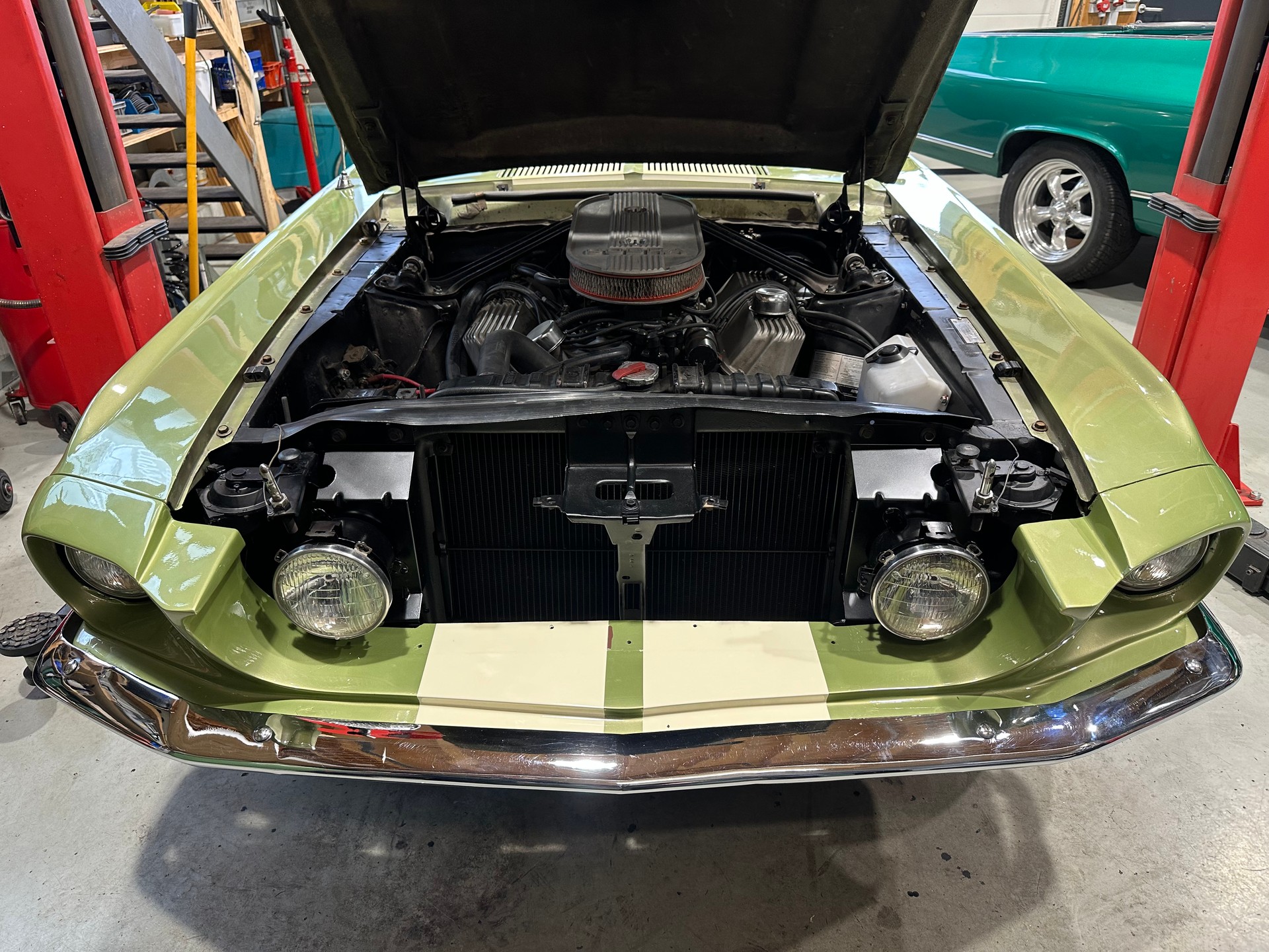 FORD Shelby GT 500-image-28