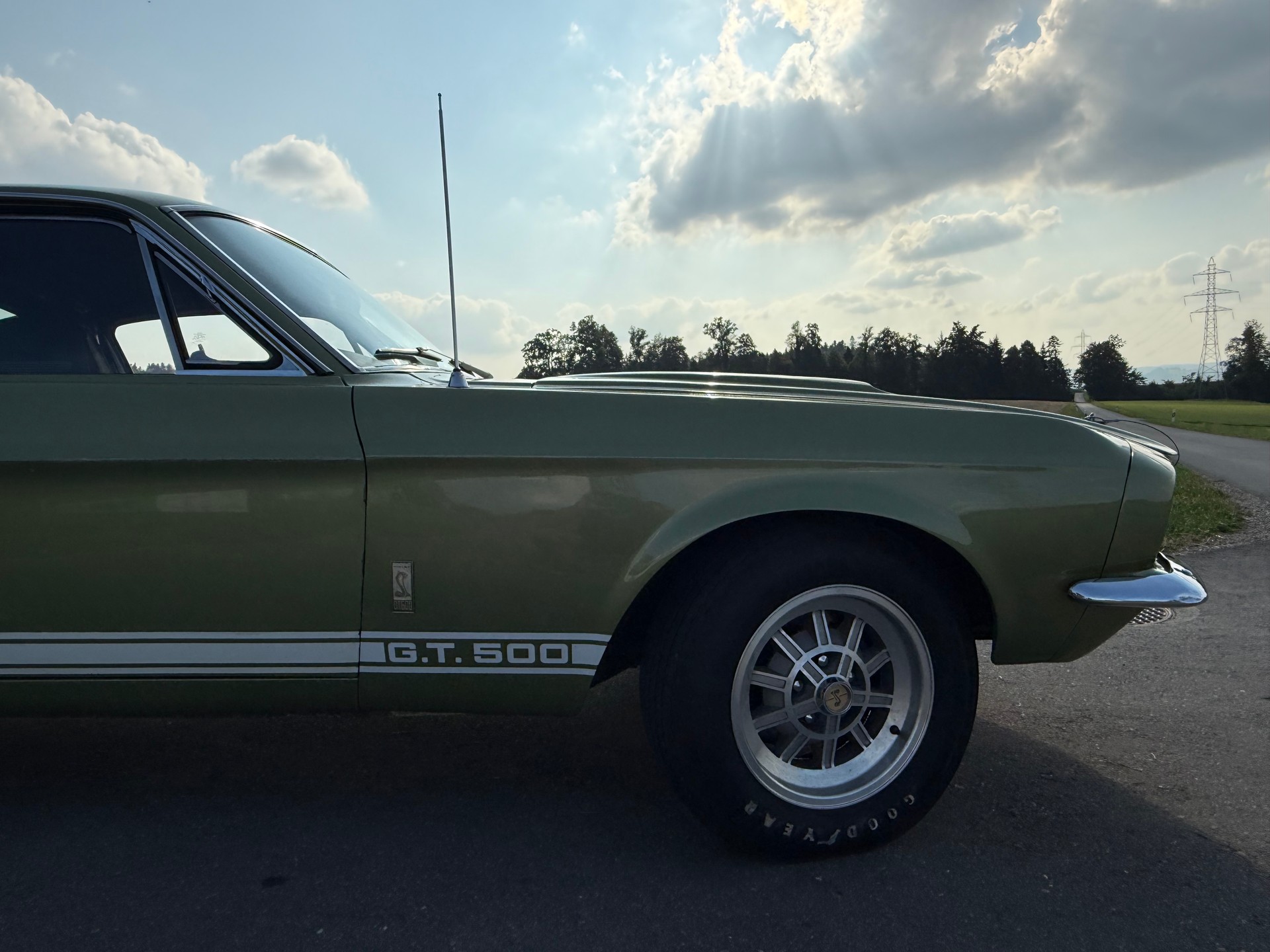 FORD Shelby GT 500-image-5
