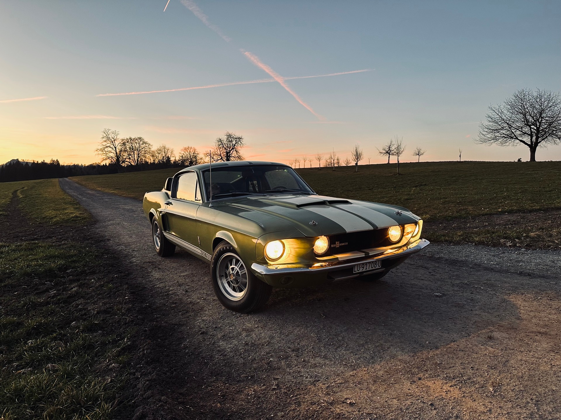 FORD Shelby GT 500-image-29
