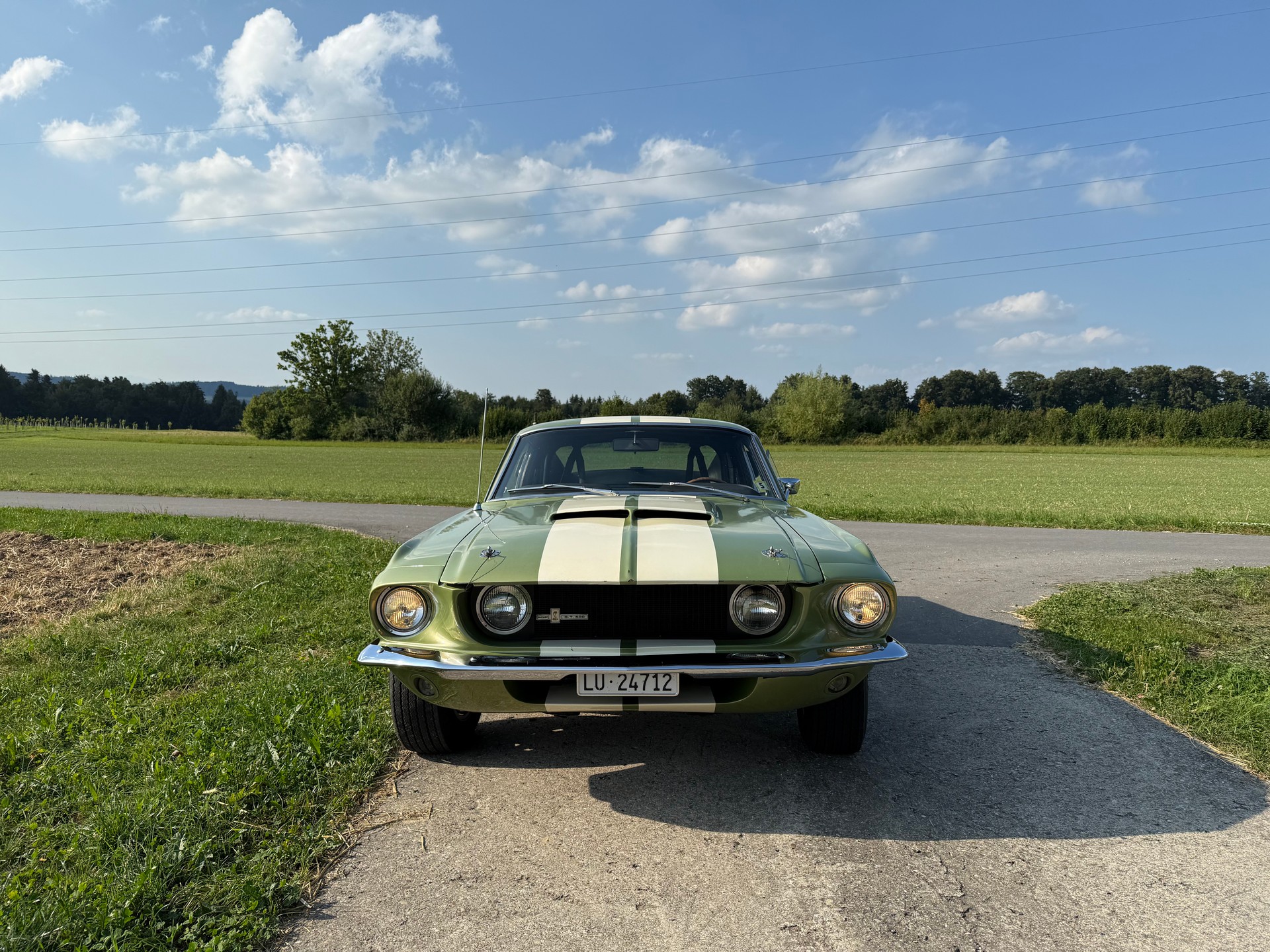 FORD Shelby GT 500-image-1
