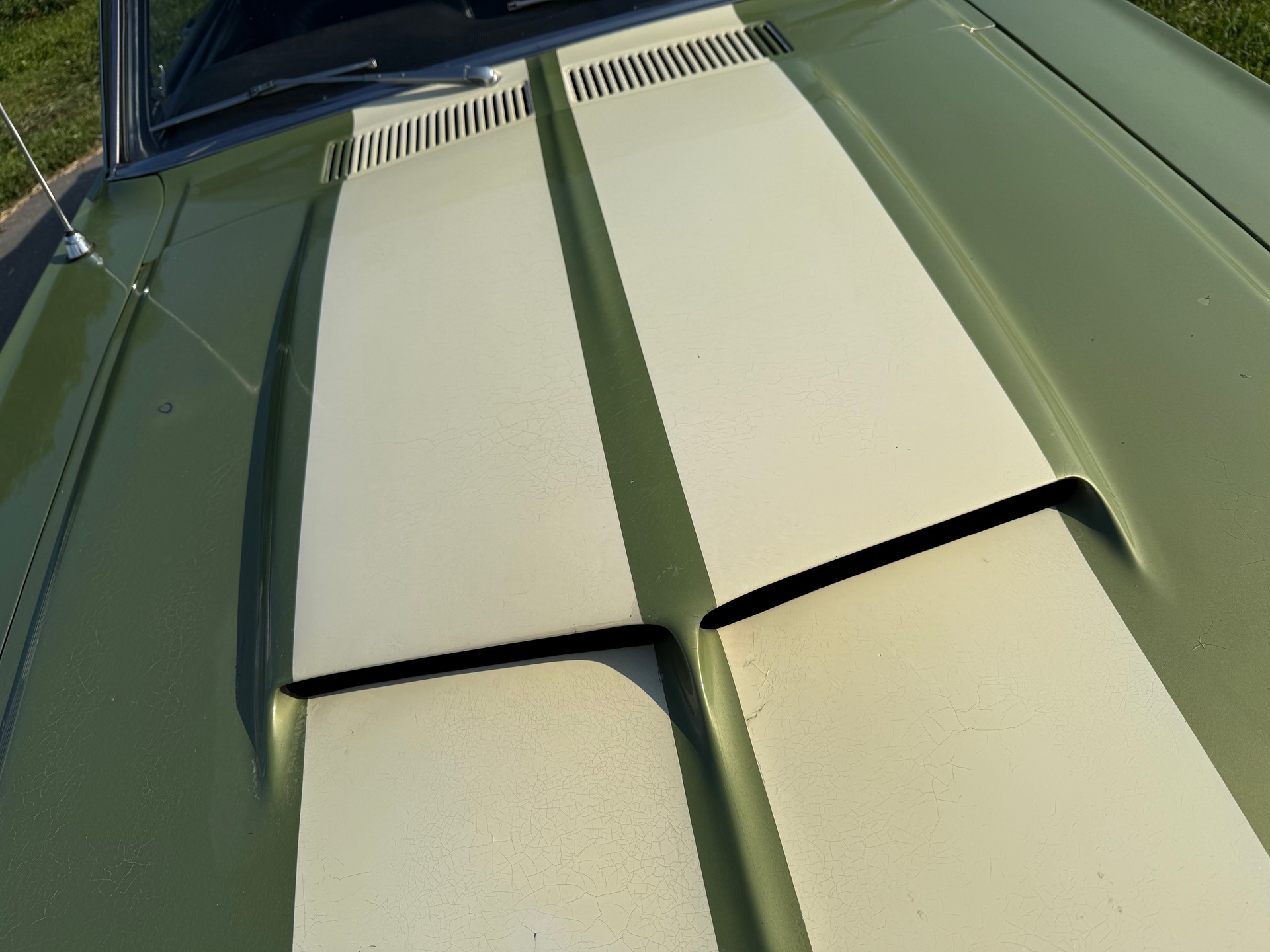 FORD Shelby GT 500-image-14