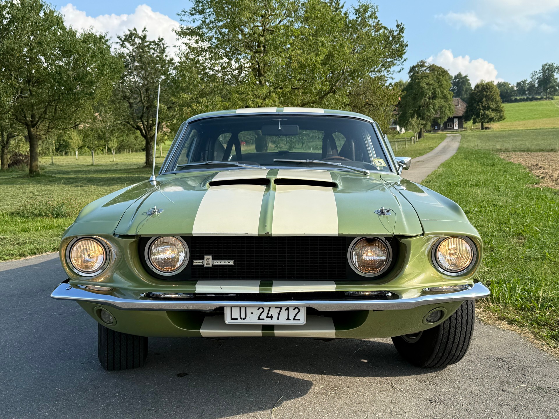 FORD Shelby GT 500-image-2