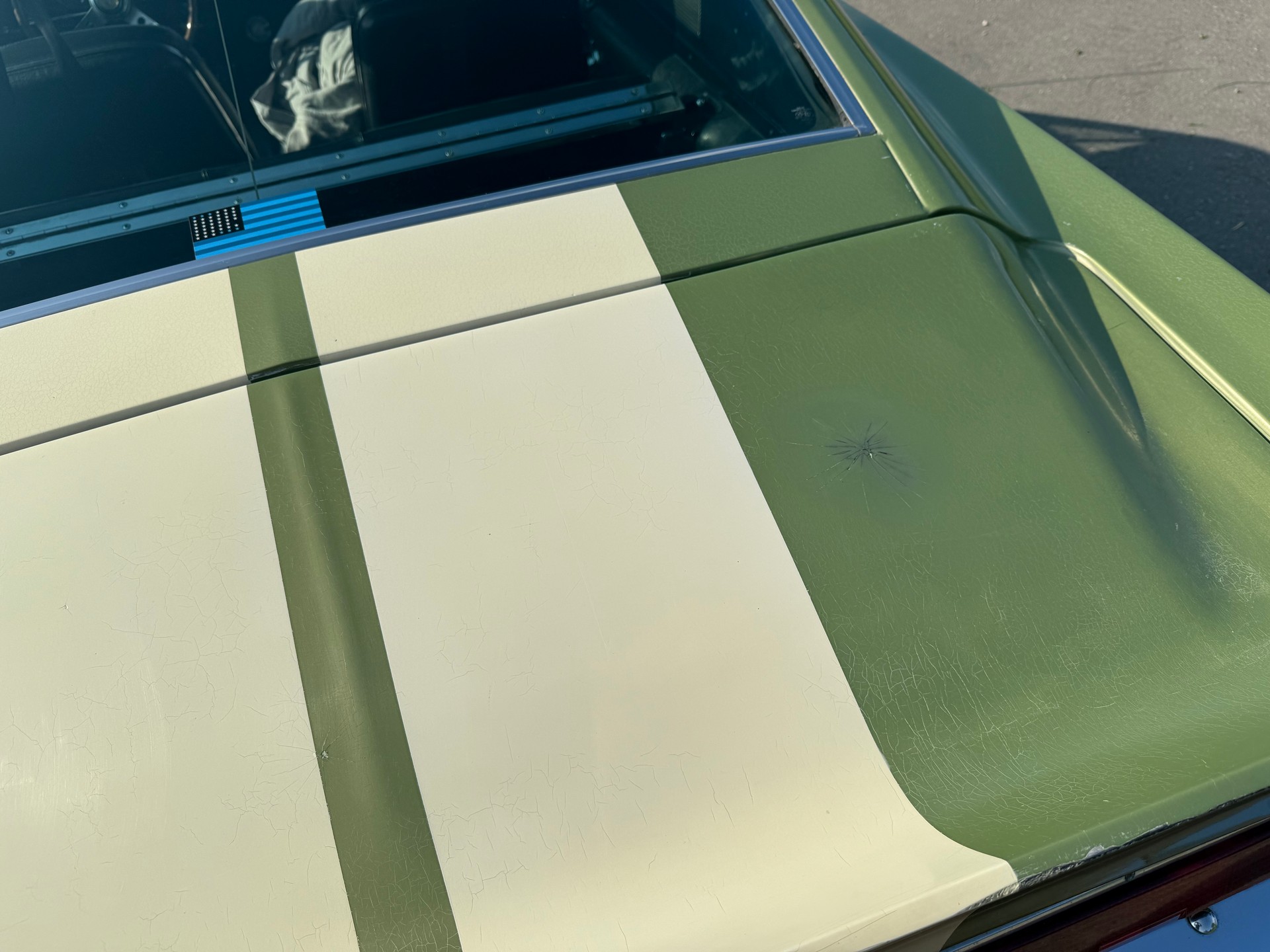 FORD Shelby GT 500-image-16