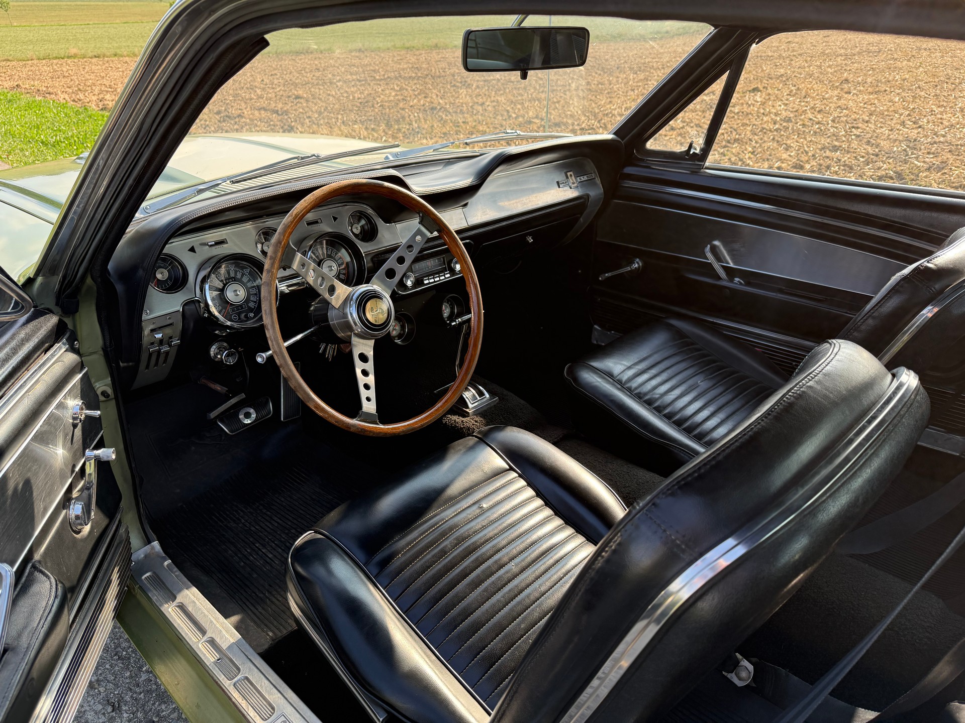 FORD Shelby GT 500-image-6