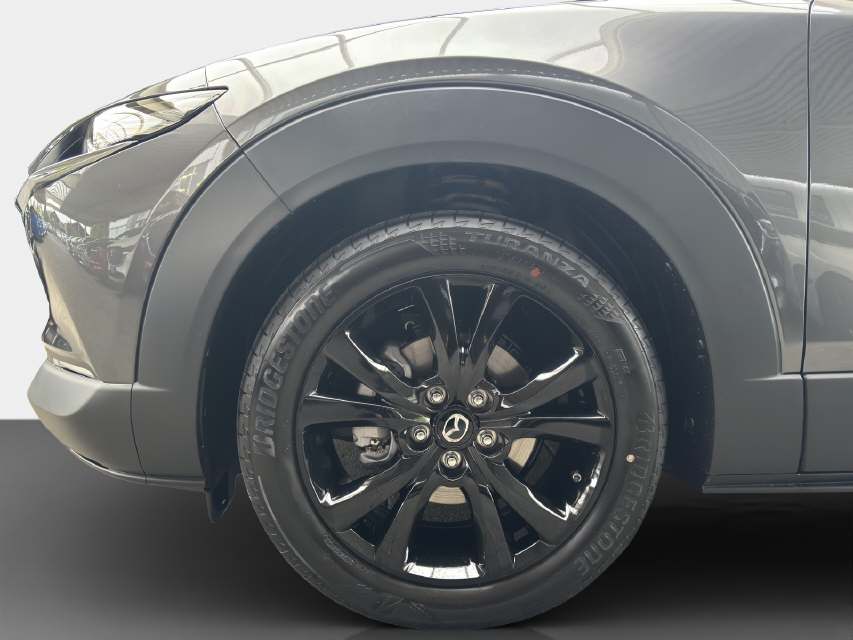 MAZDA CX-30 2.0/186 Homura 4x4-image-8