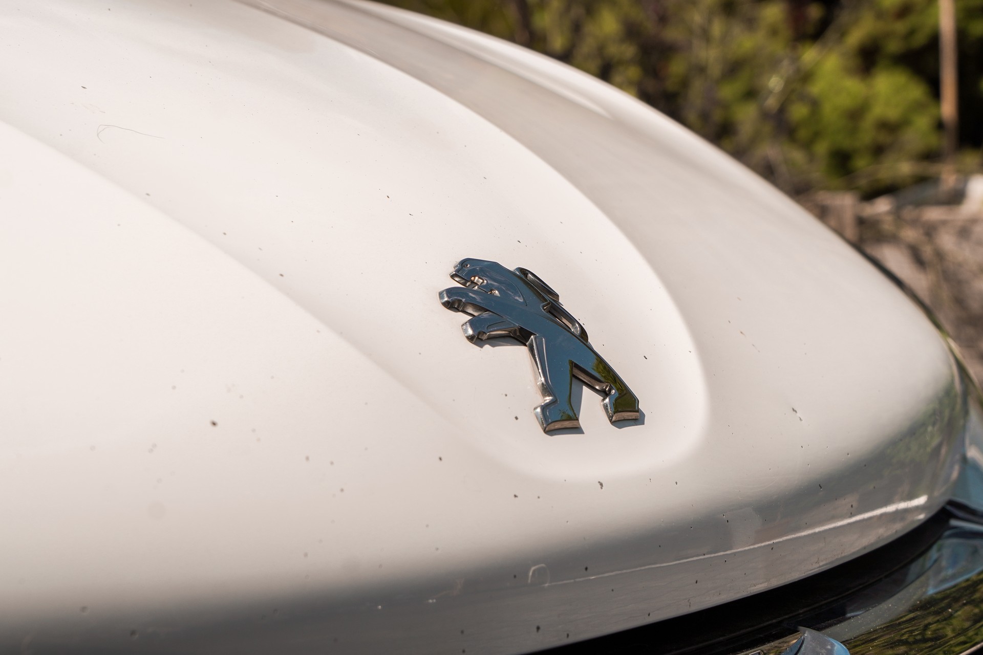PEUGEOT 1.2 PureTech Signature S/S-image-5