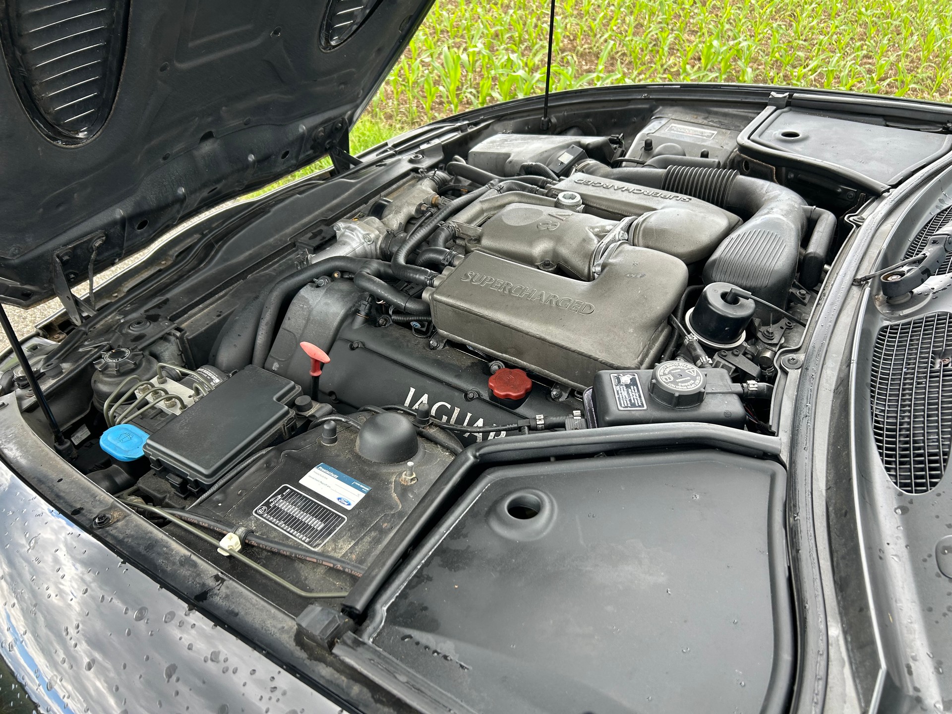 JAGUAR XKR S/C-image-11