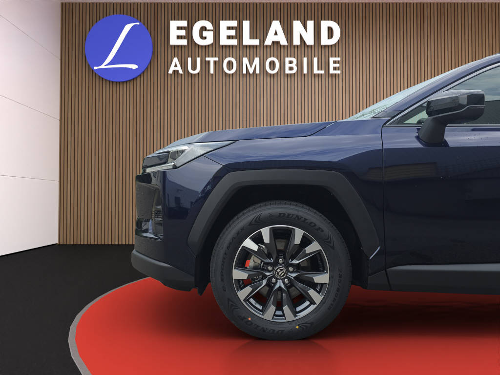 TOYOTA RAV-4 2.5 HEV Trend 4WD-image-9