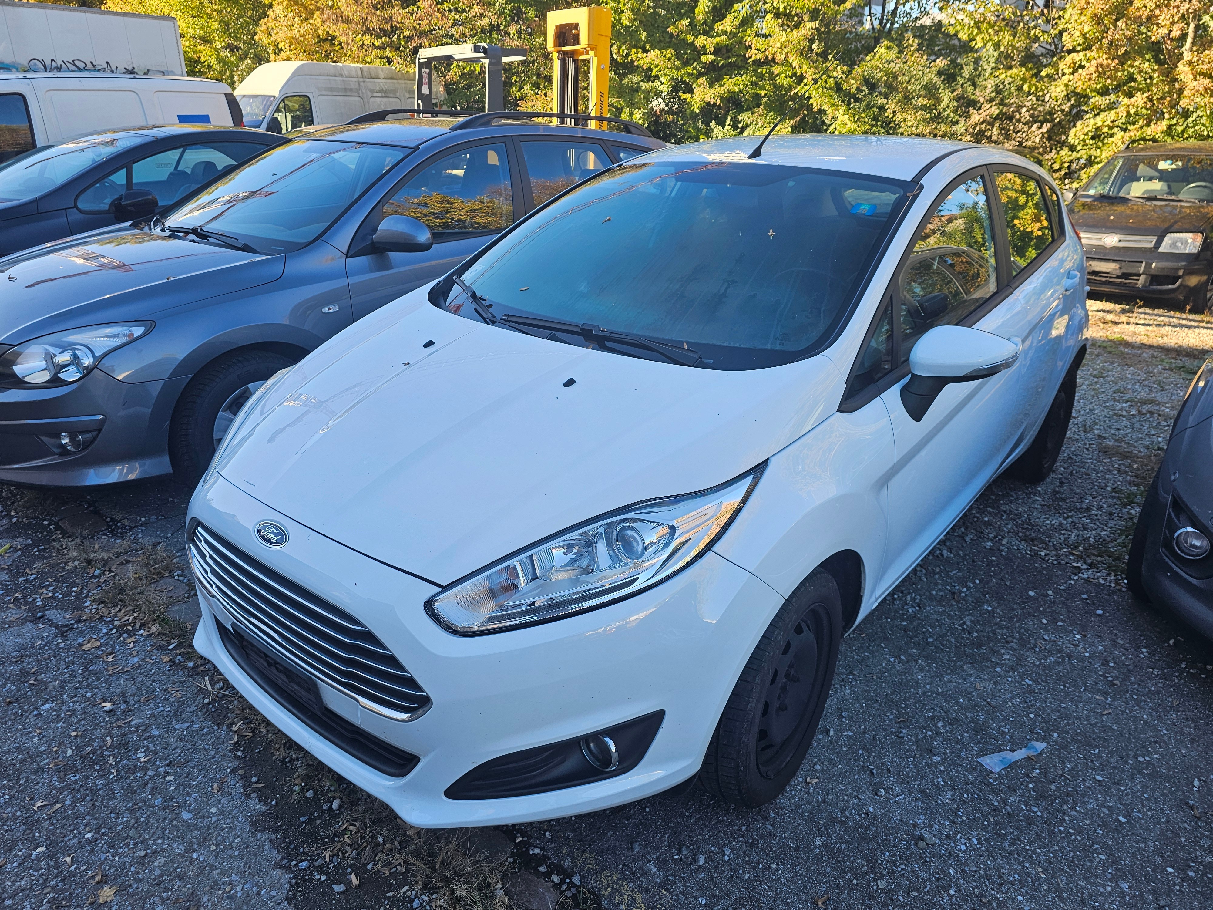 Car photo