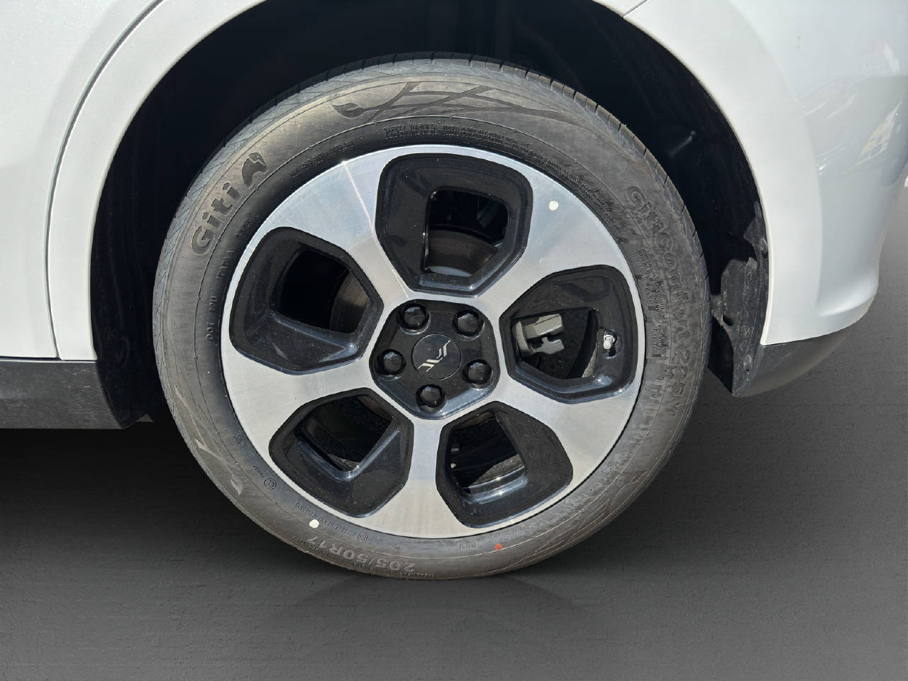 JAC E30X Electric-image-12