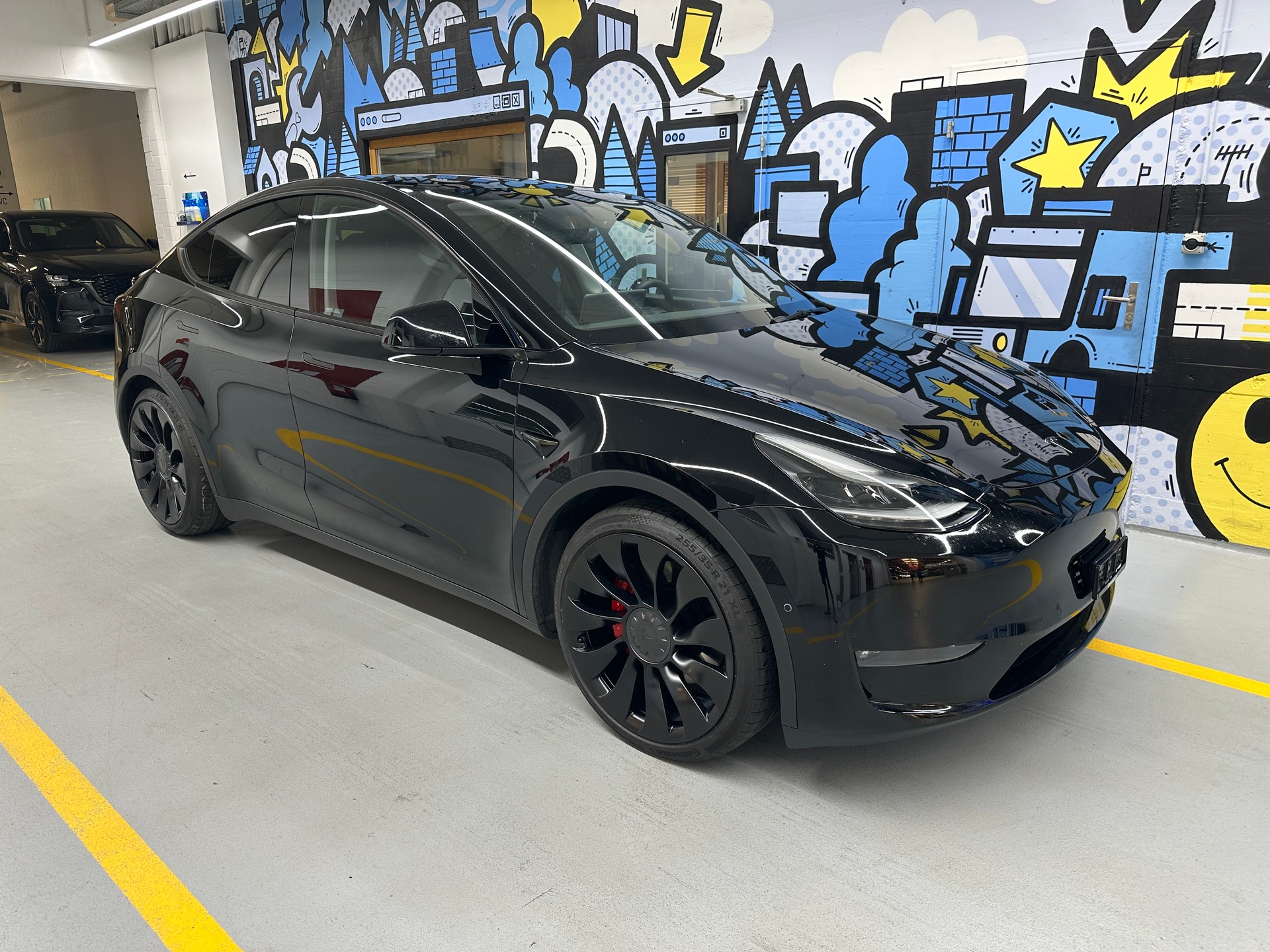 TESLA Performance-image-0