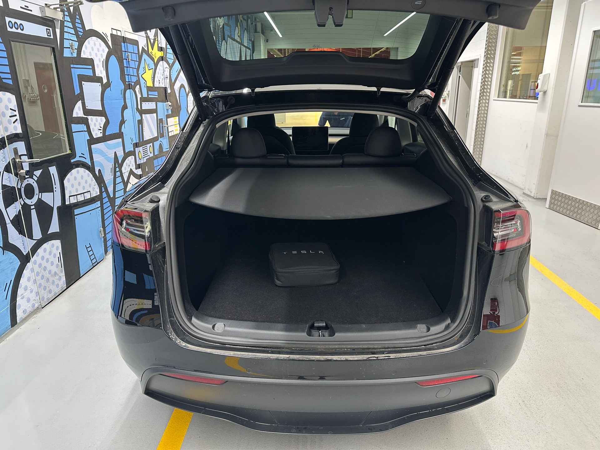 TESLA Performance-image-5