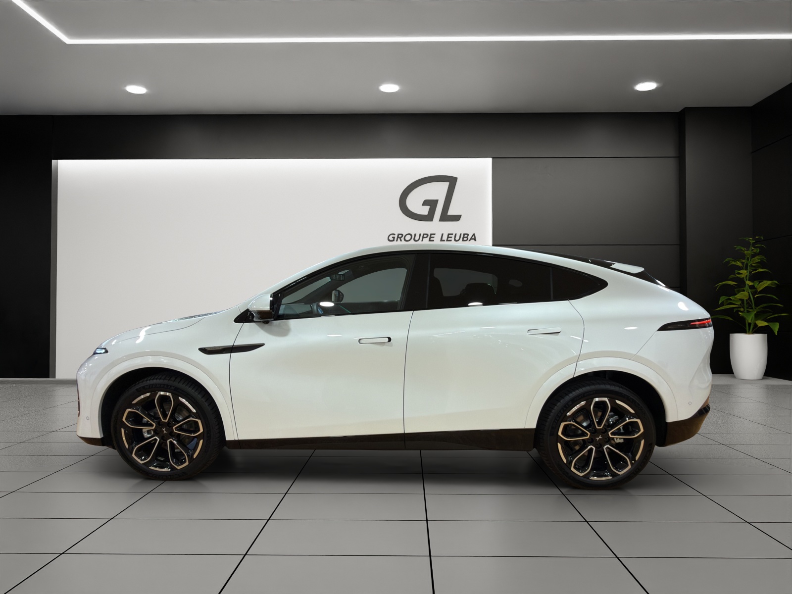 XPENG G6 80kWh Performance AWD-image-3