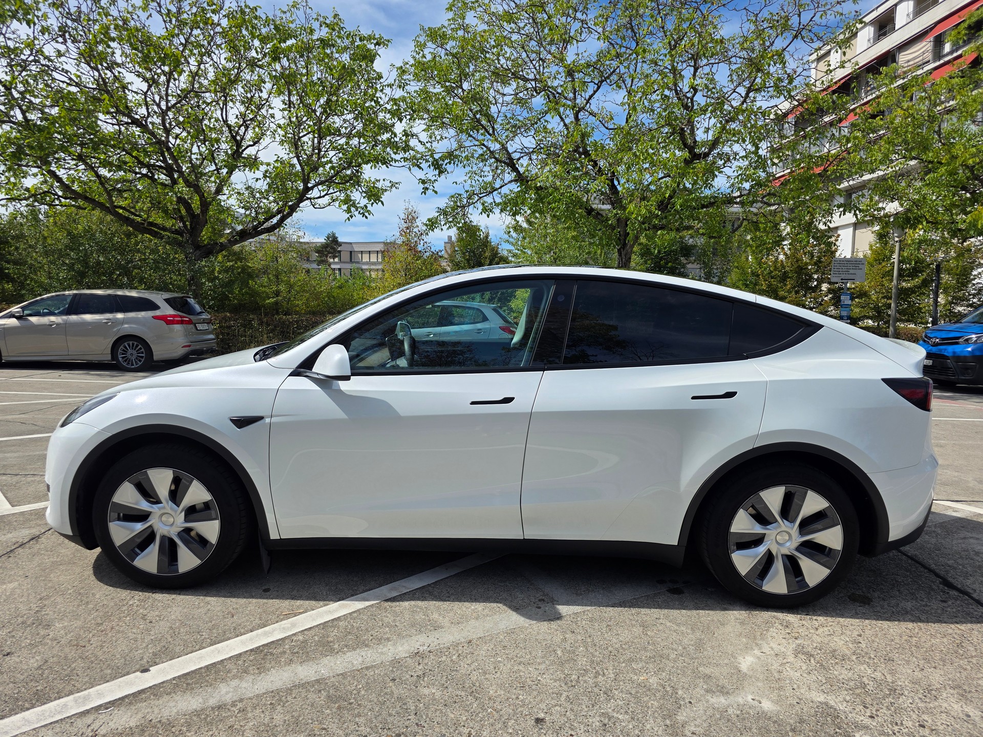 TESLA Basis-image-2
