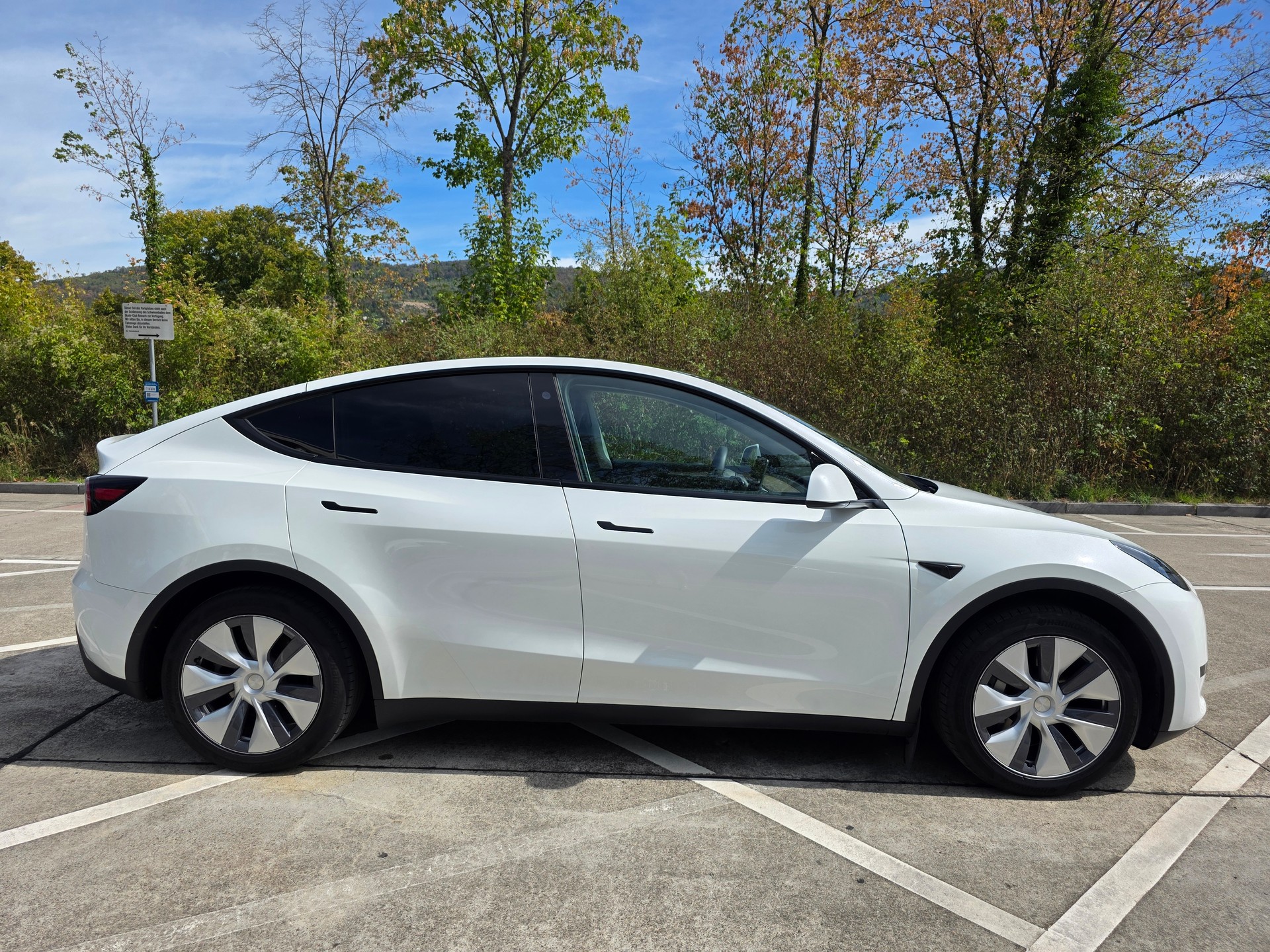 TESLA Basis-image-1