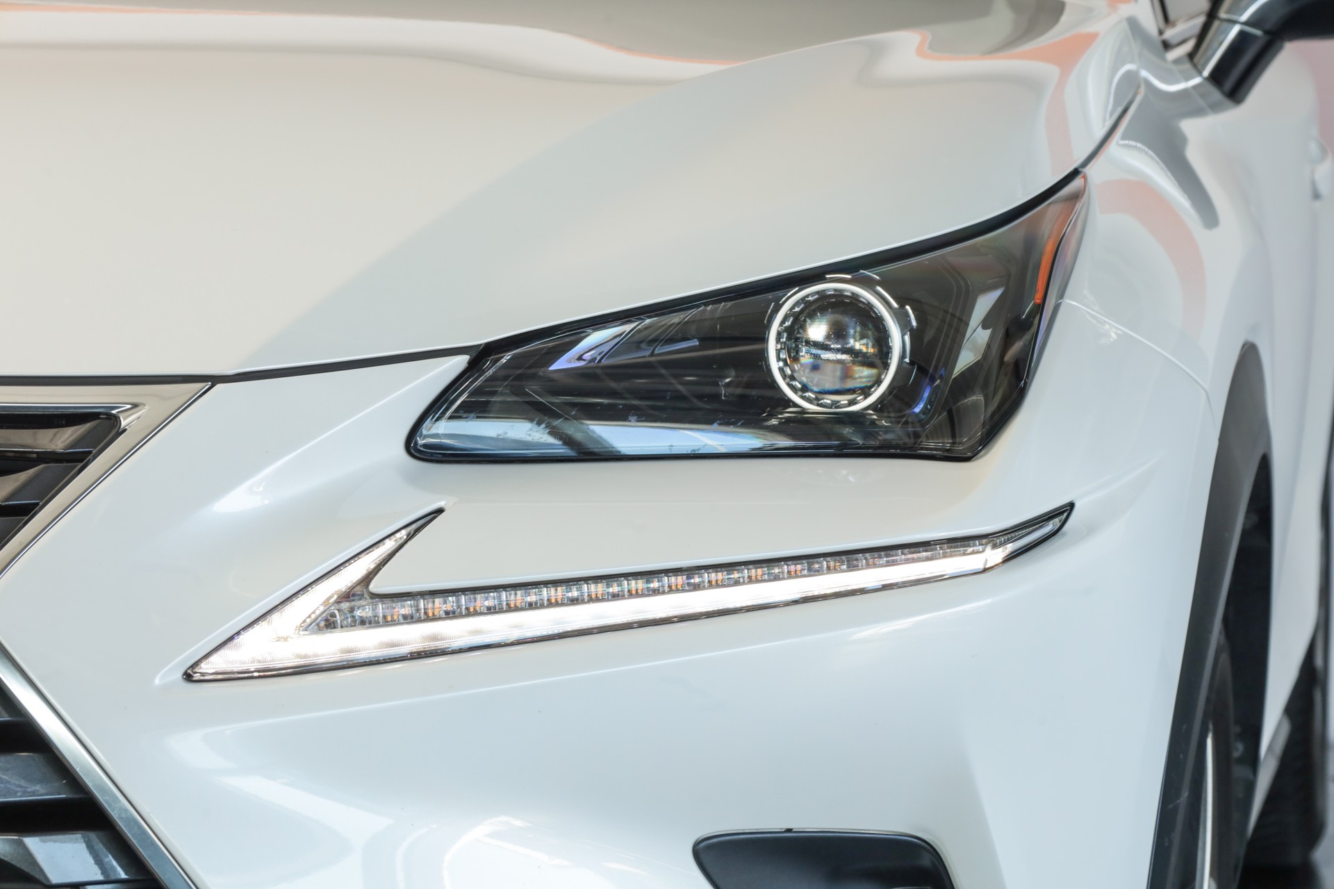 LEXUS NX 300h Impression E-Four Automatic Navigation Premium / Caméra de recul / Sièges chauffants-image-6