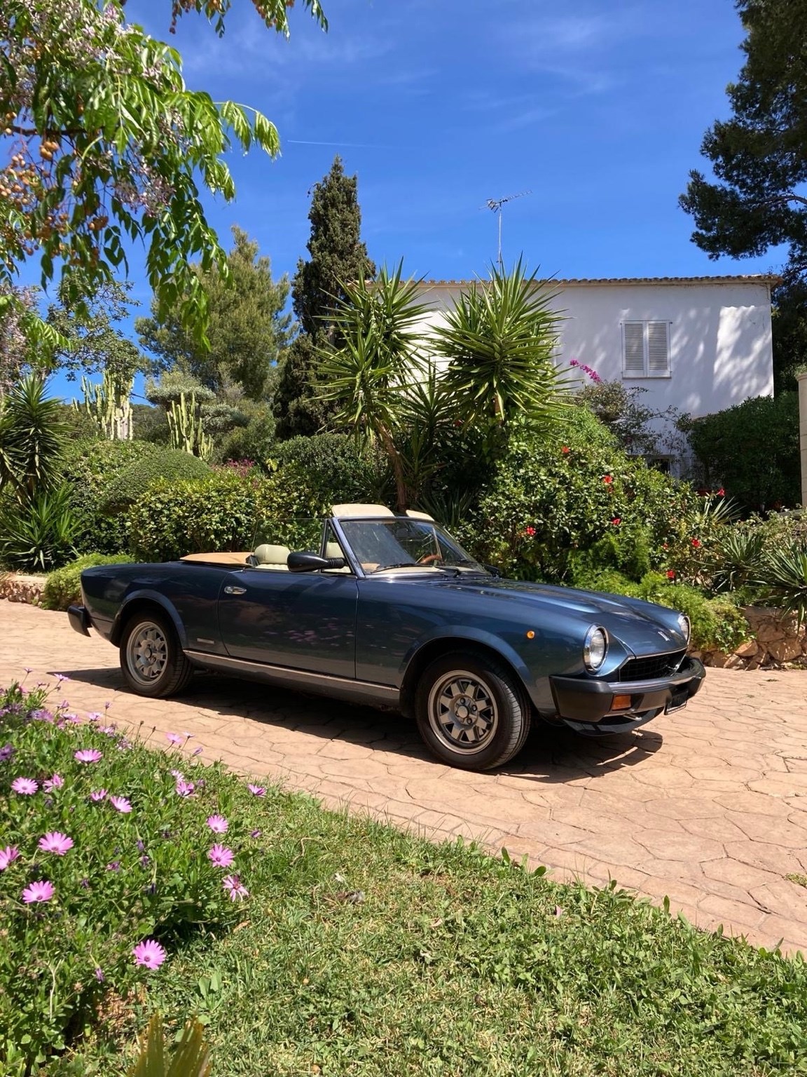 FIAT Spider 124 DS Europa 2.0 i.e.-image-8