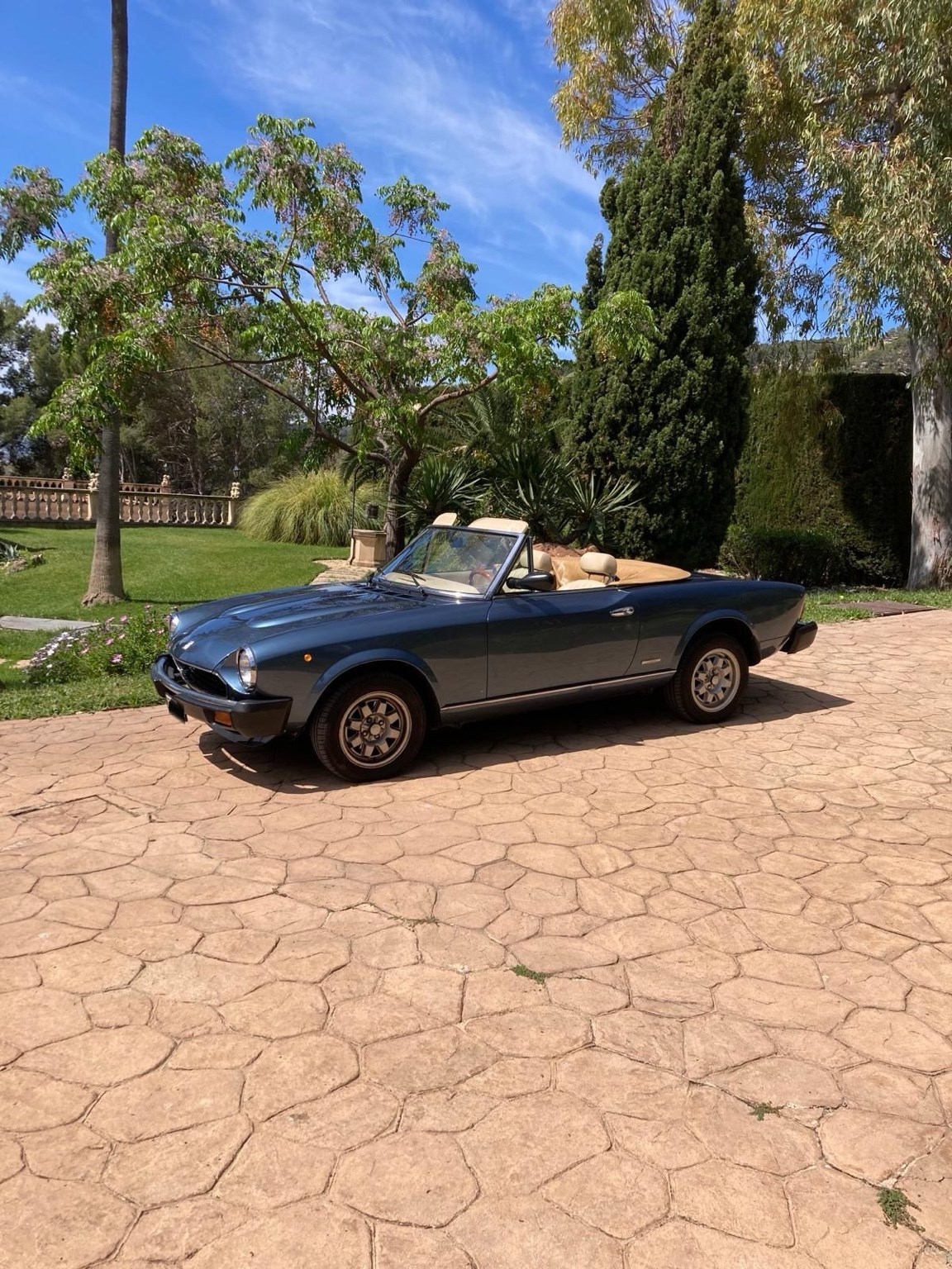 FIAT Spider 124 DS Europa 2.0 i.e.-image-13